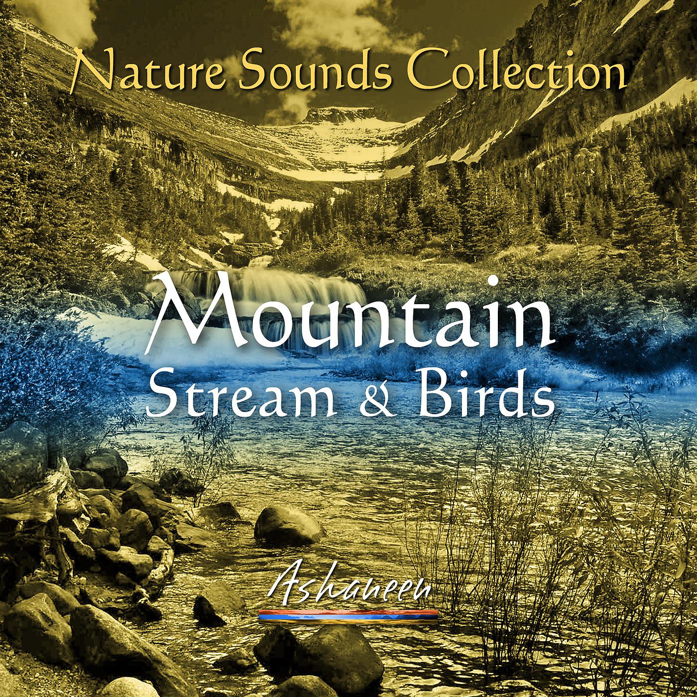 Постер альбома Nature Sounds Collection: Mountain Stream & Birds