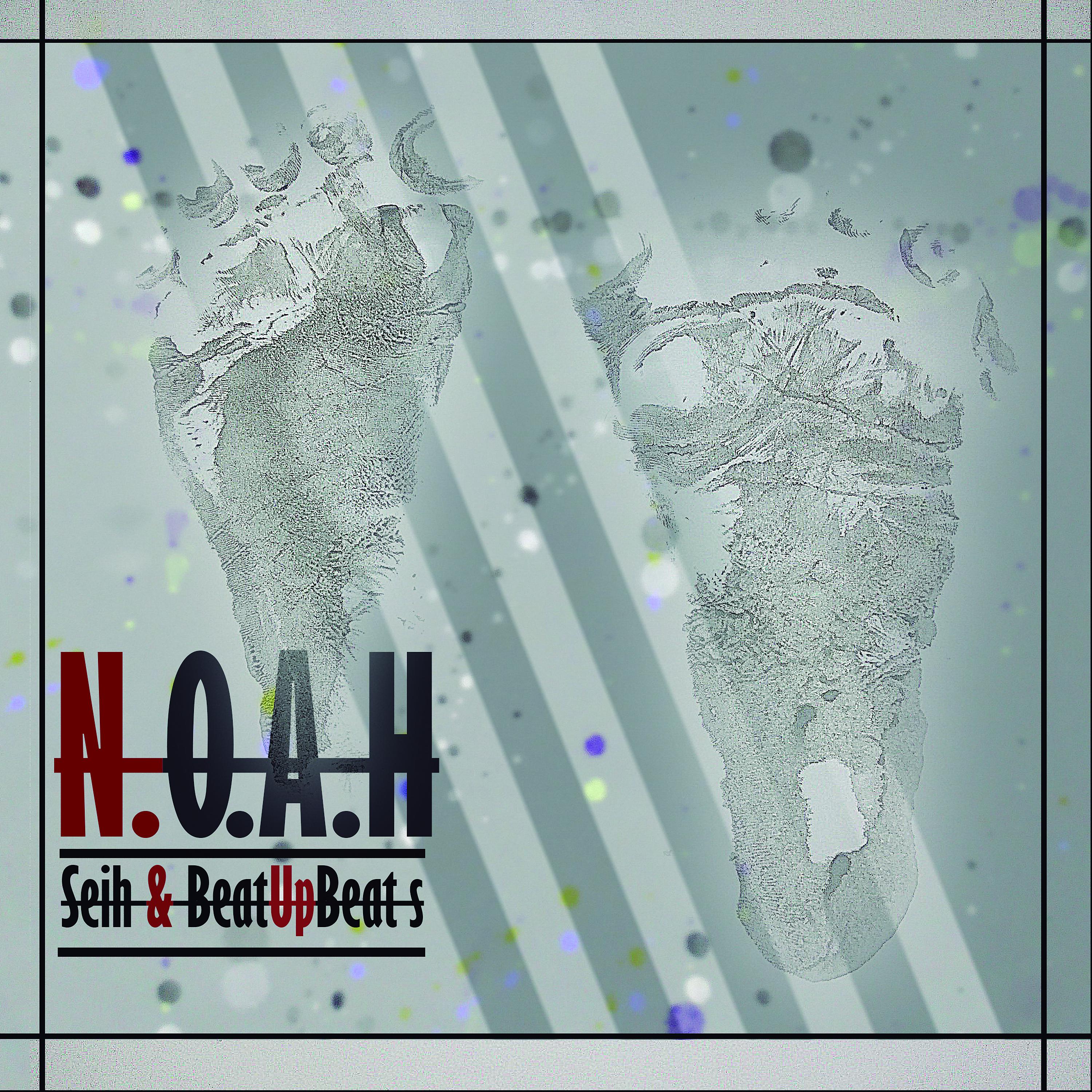 Постер альбома N.O.A.H