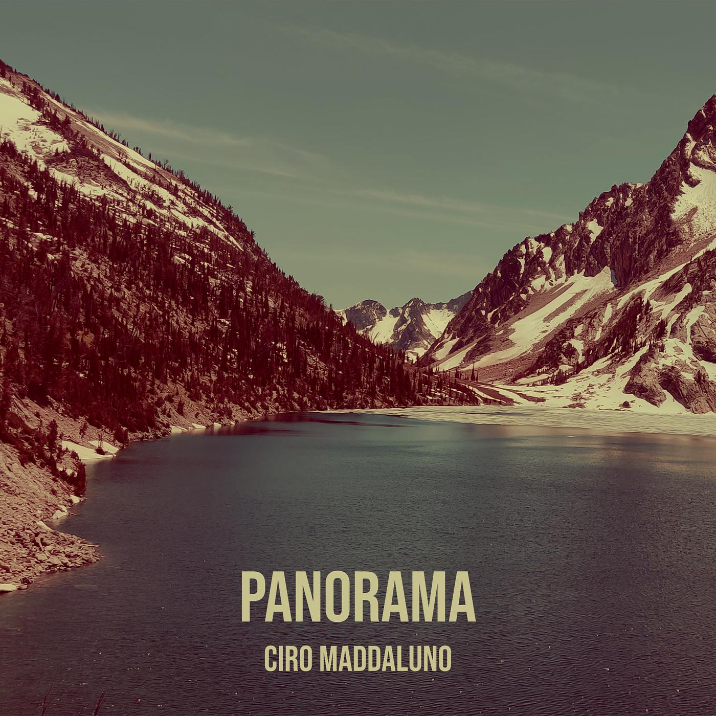 Постер альбома Panorama