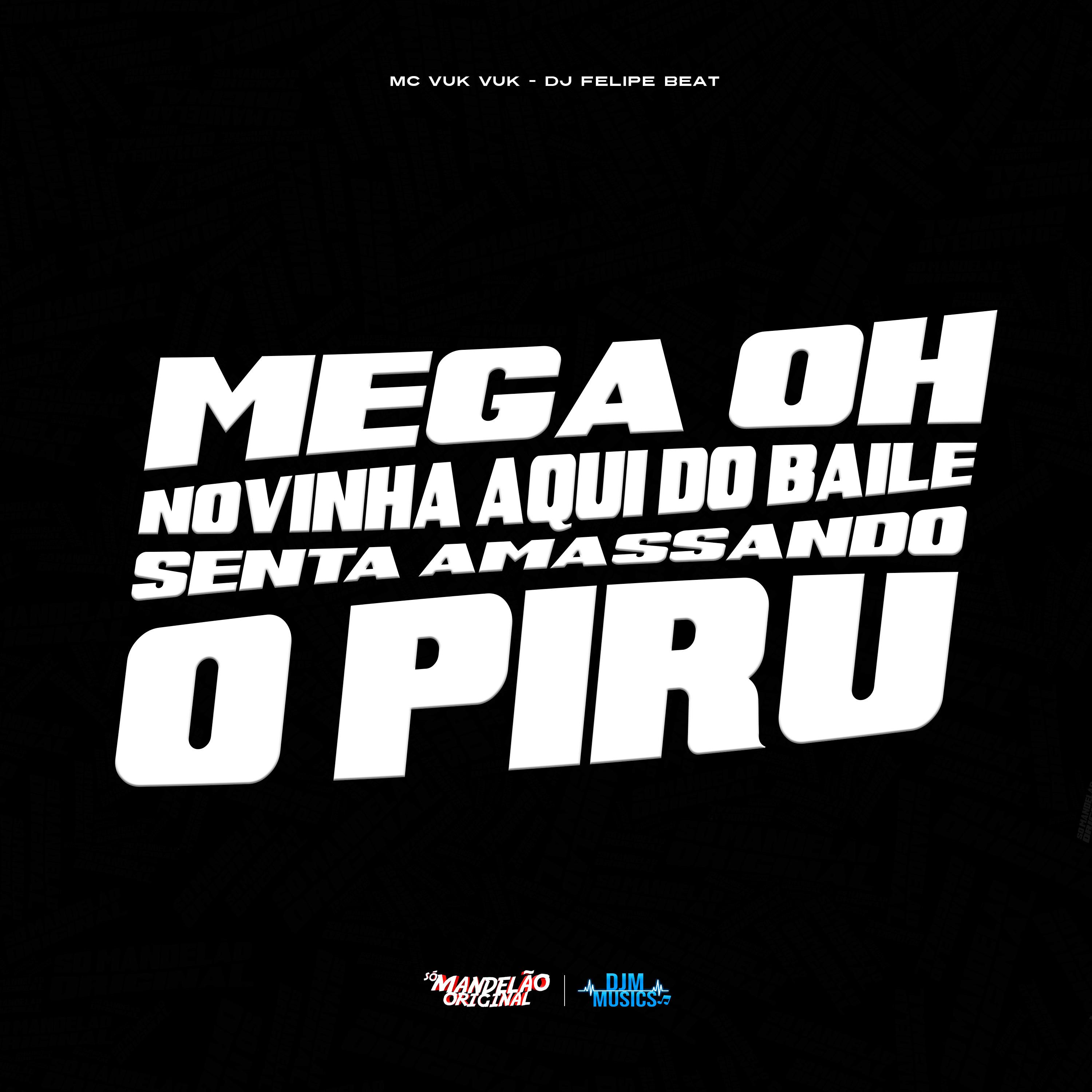 Постер альбома Mega Oh Novinha Aqui do Baile, Senta Amassando o Piru