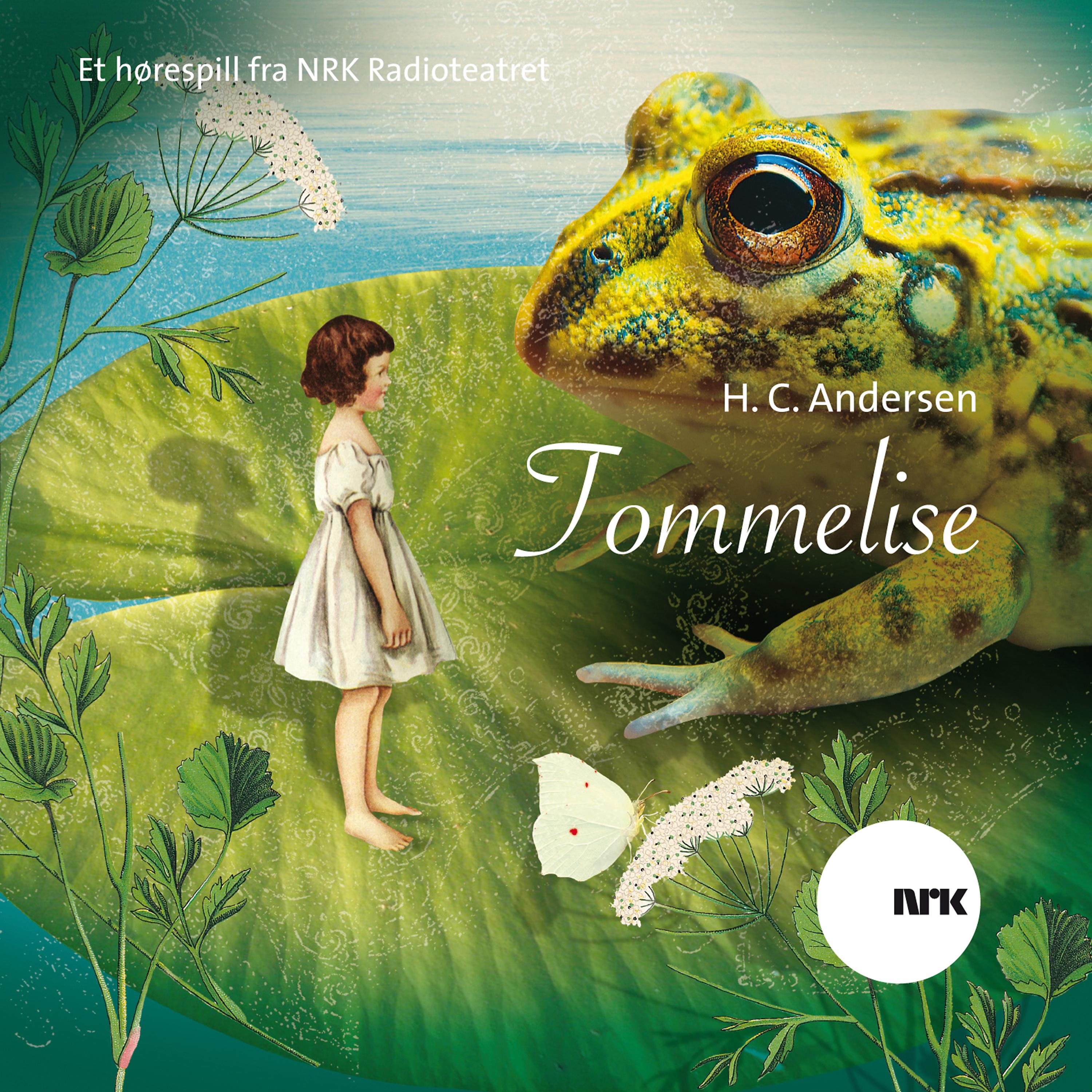 Постер альбома Tommelise