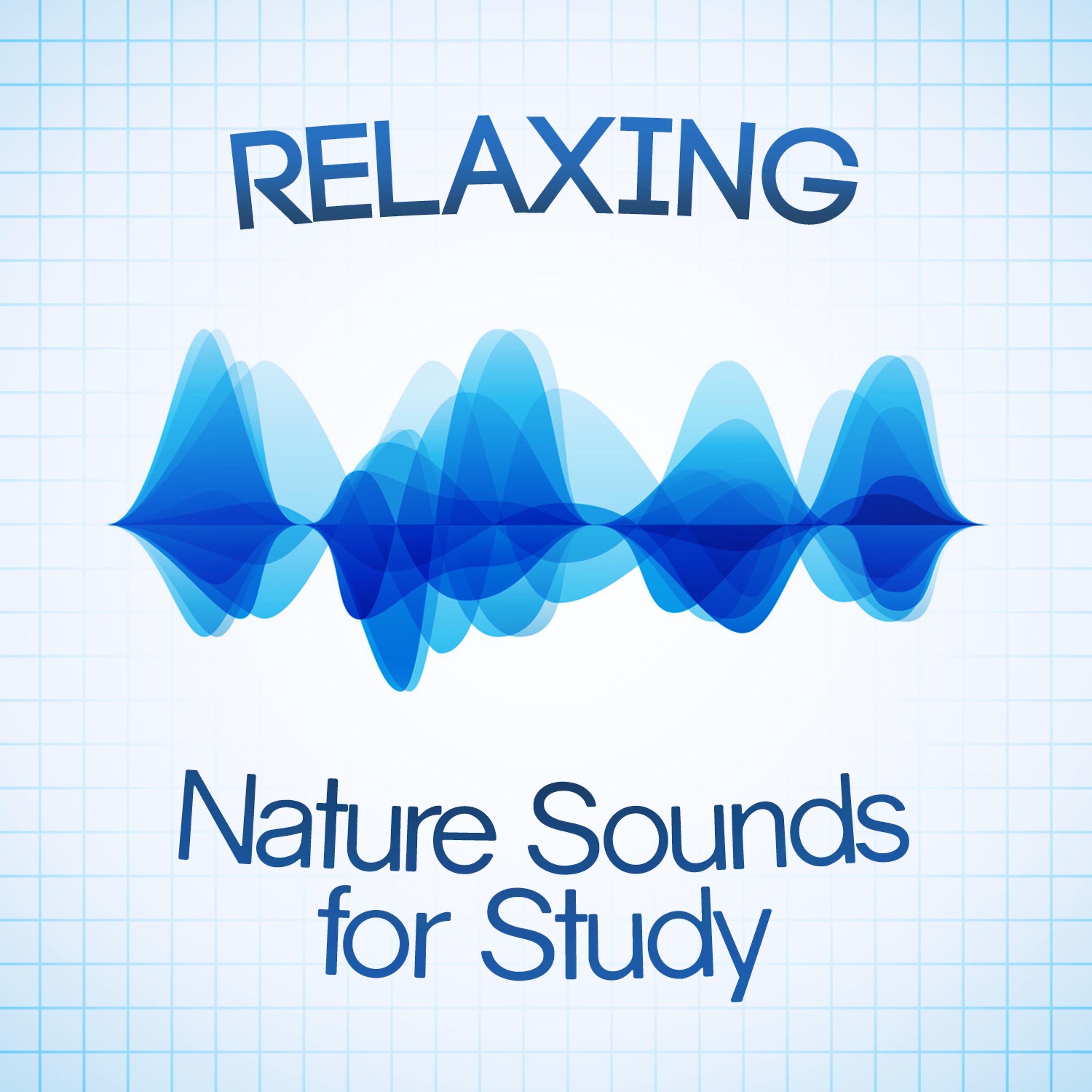 Постер альбома Relaxing Nature Sounds for Study