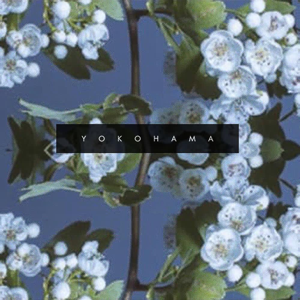 Постер альбома Yokohama