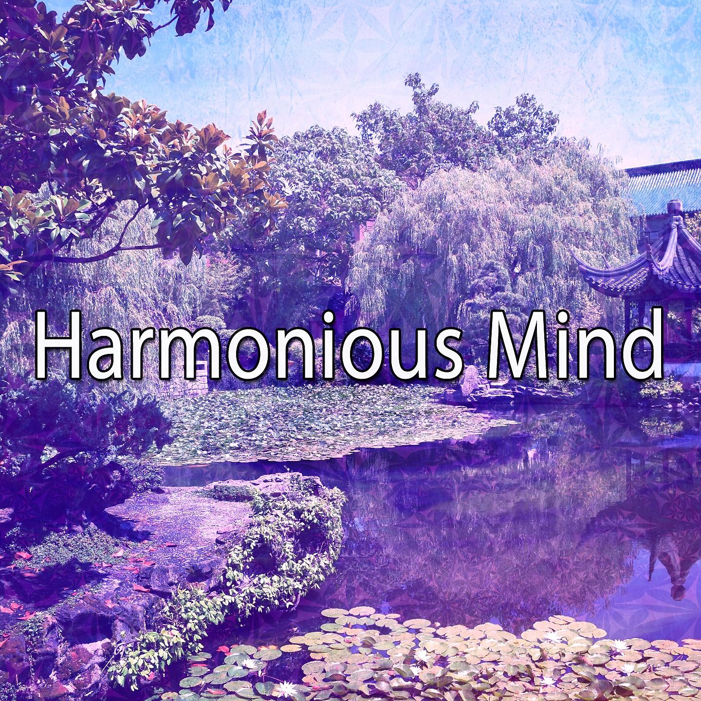Постер альбома Harmonious Mind