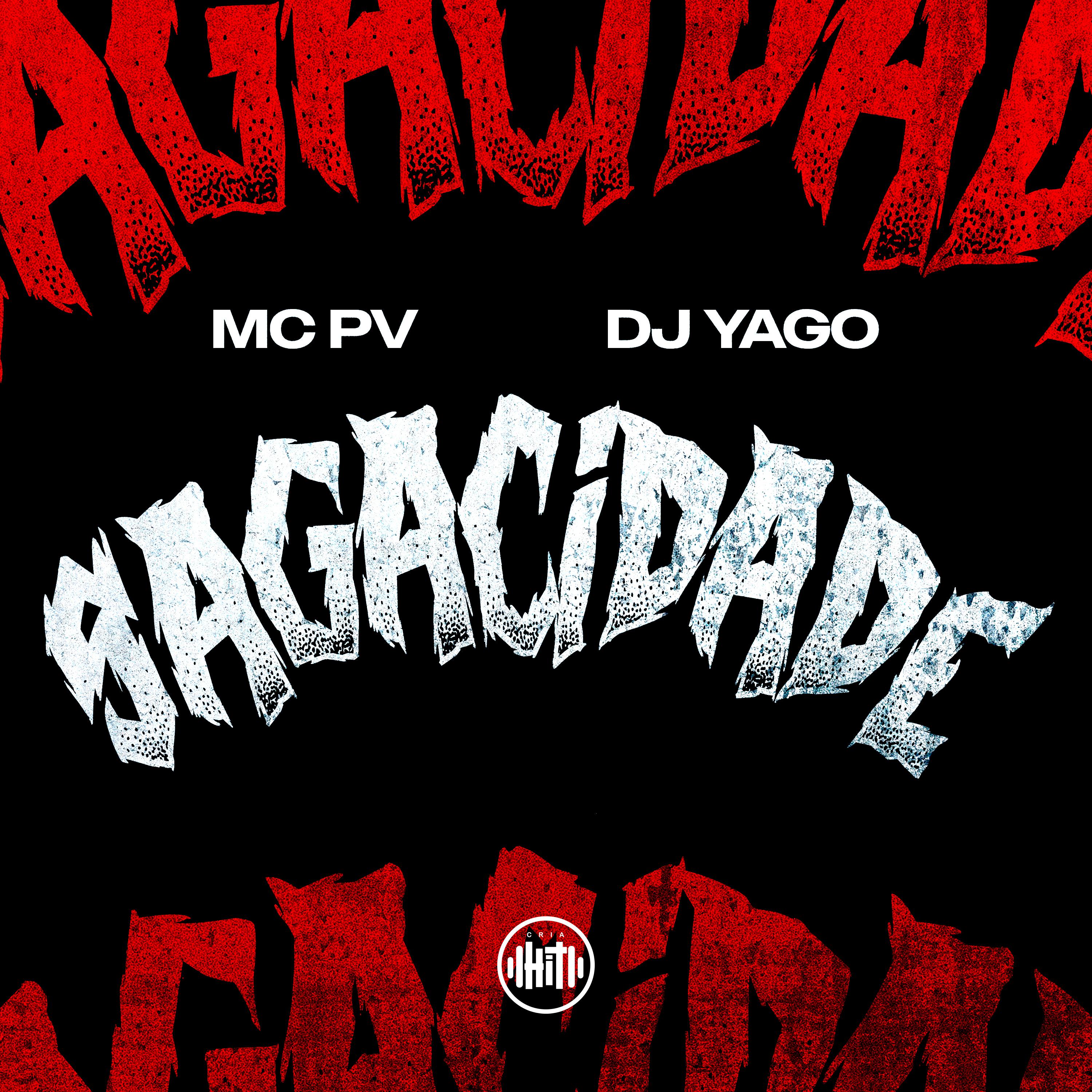 Постер альбома Sagacidade