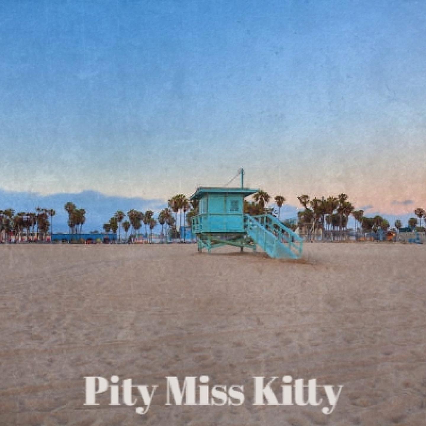 Постер альбома Pity Miss Kitty