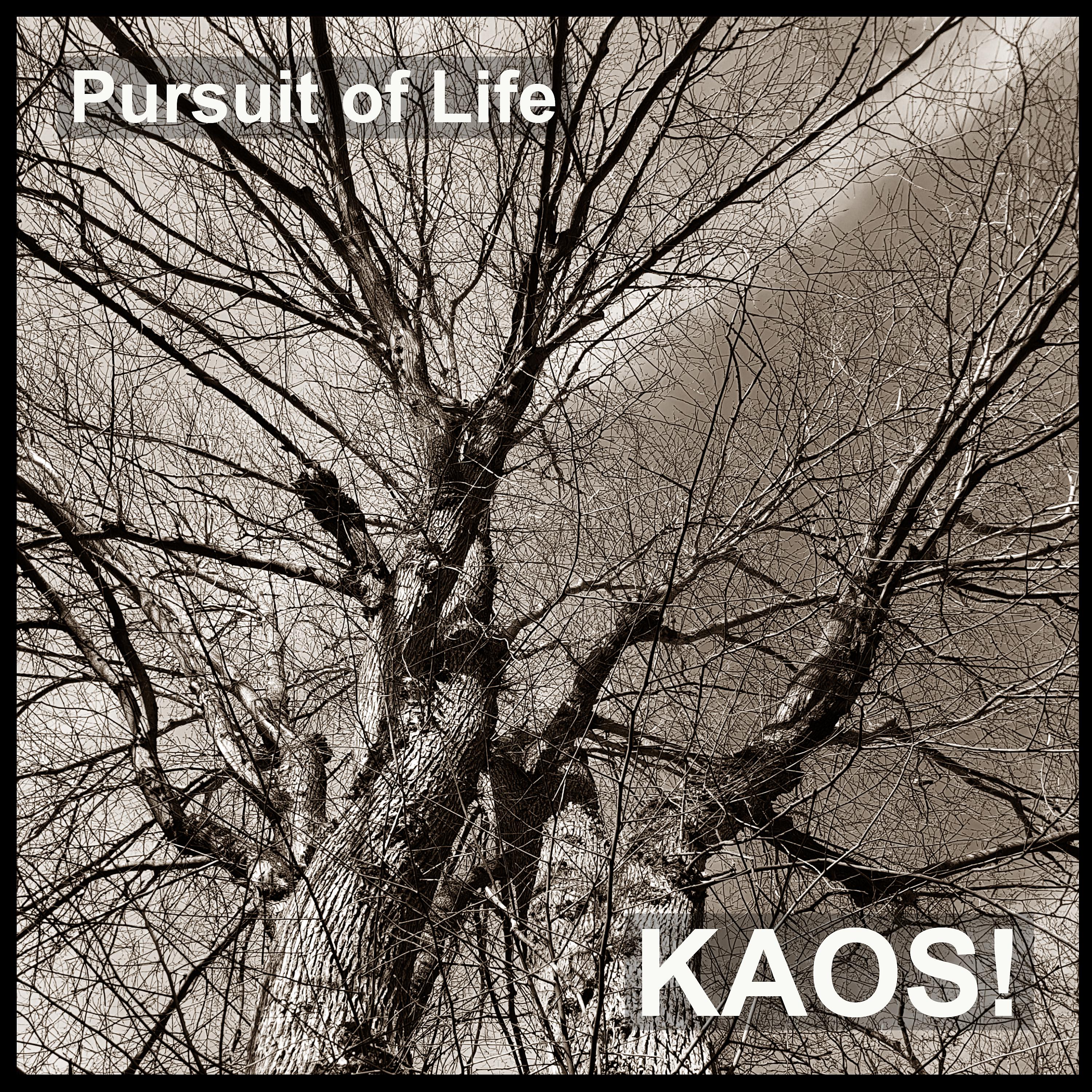 Постер альбома Pursuit of Life