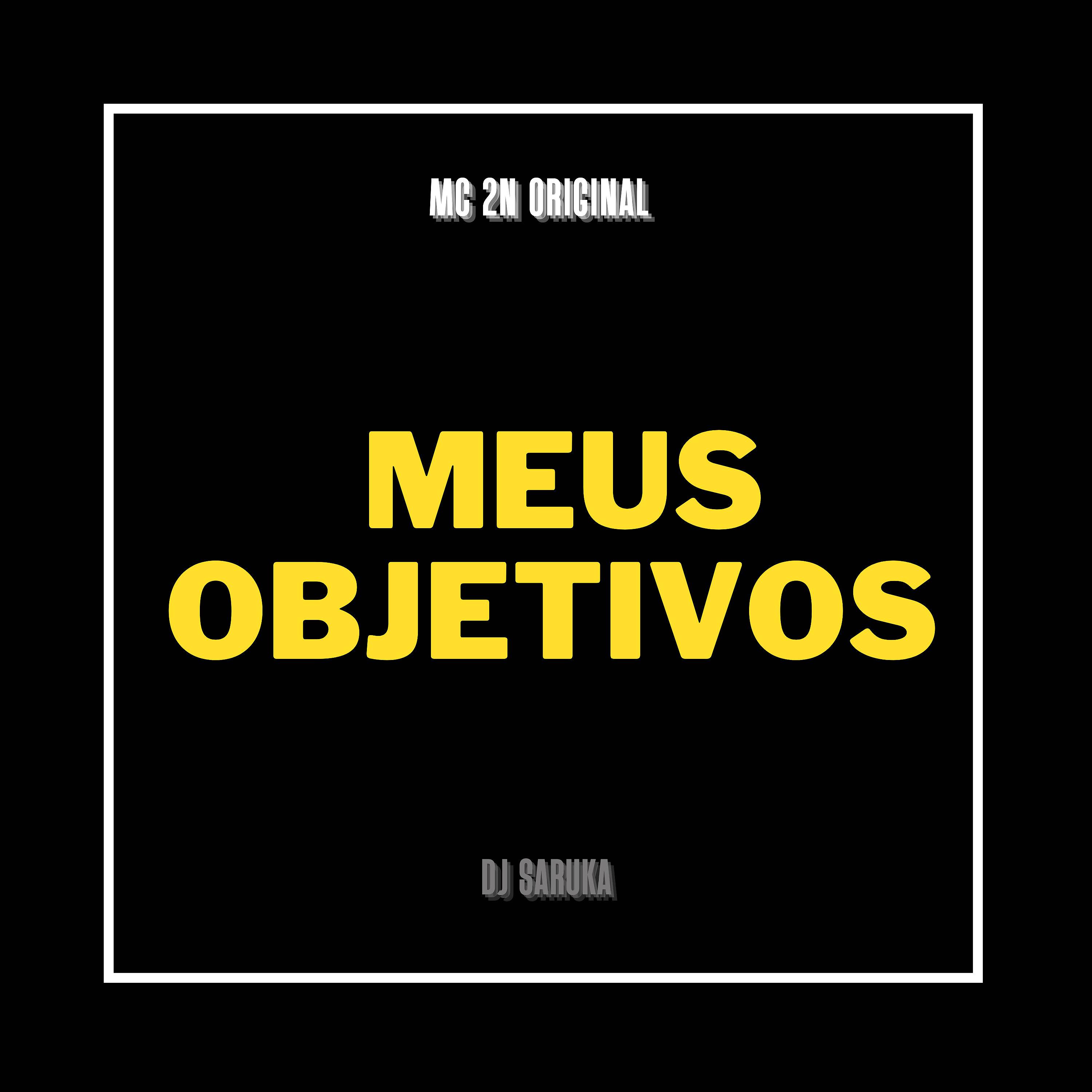 Постер альбома Meus Objetivos