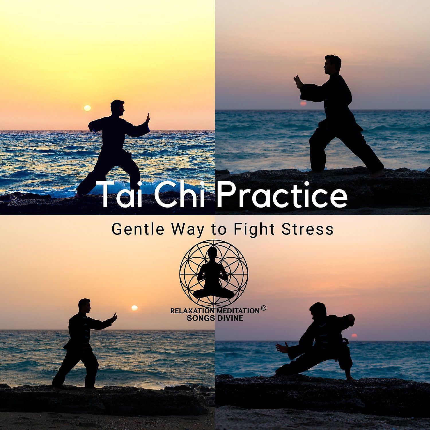 Постер альбома Tai Chi Practice: Gentle Way to Fight Stress, Zen Flow