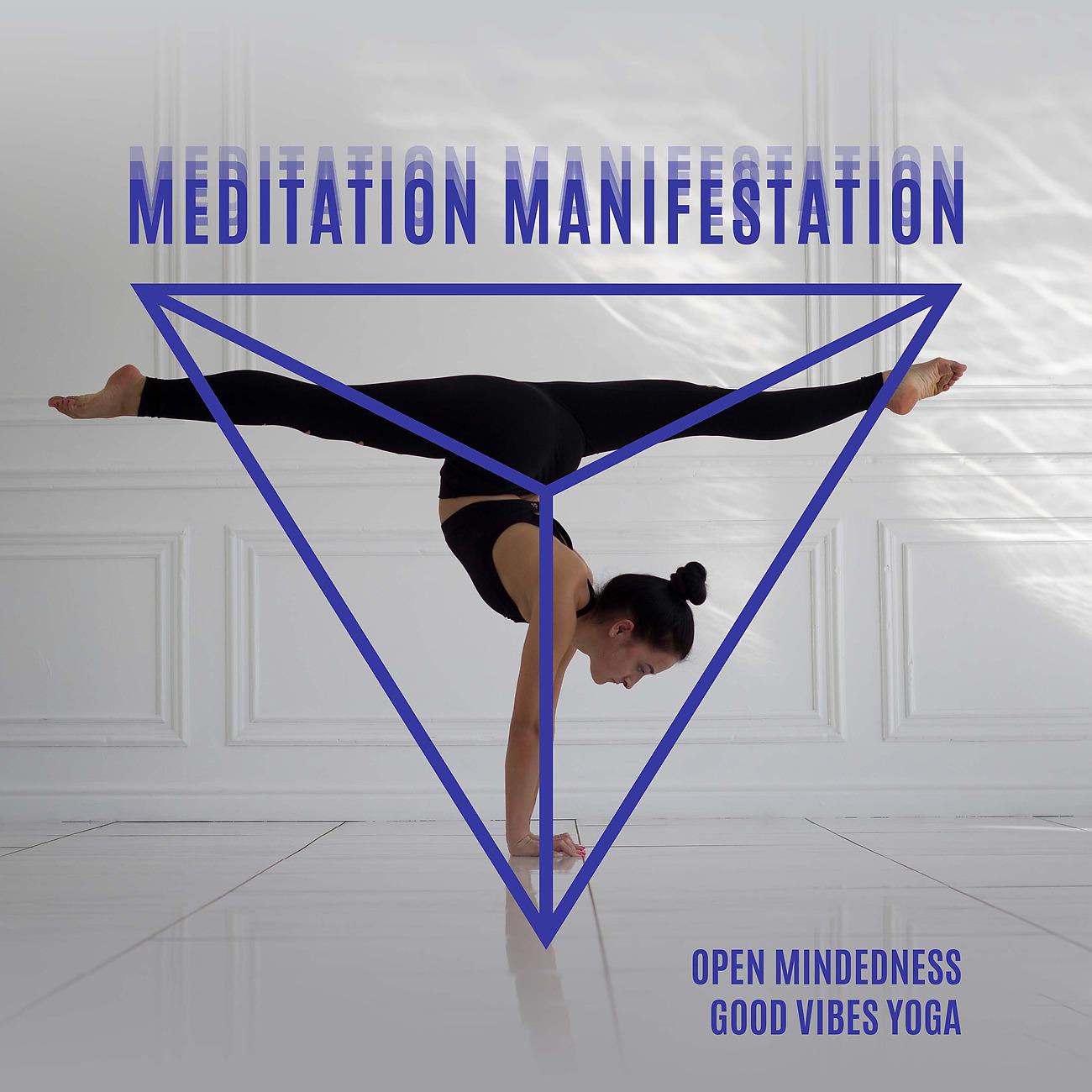 Постер альбома Meditation Manifestation