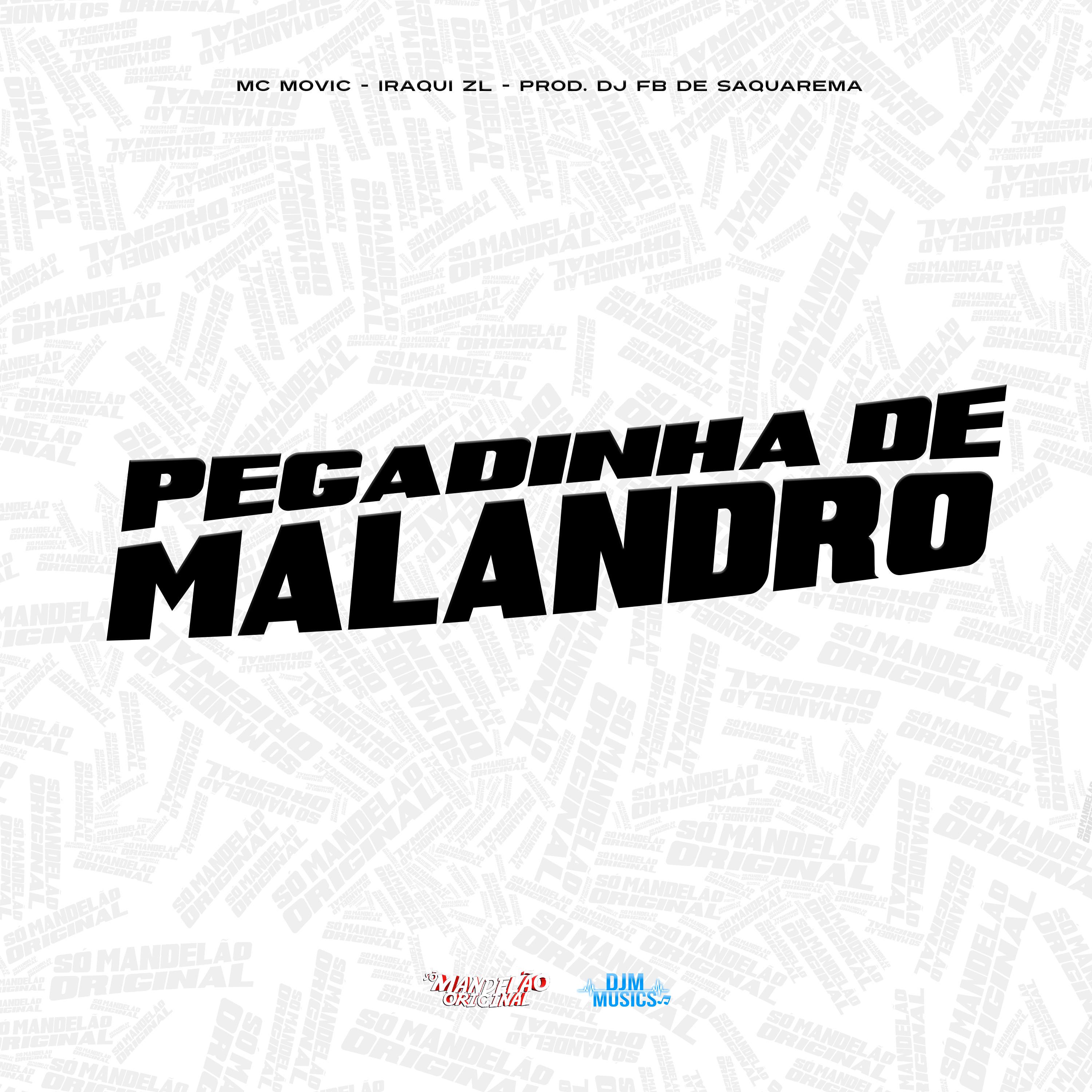Постер альбома Pegadinha de Malandro
