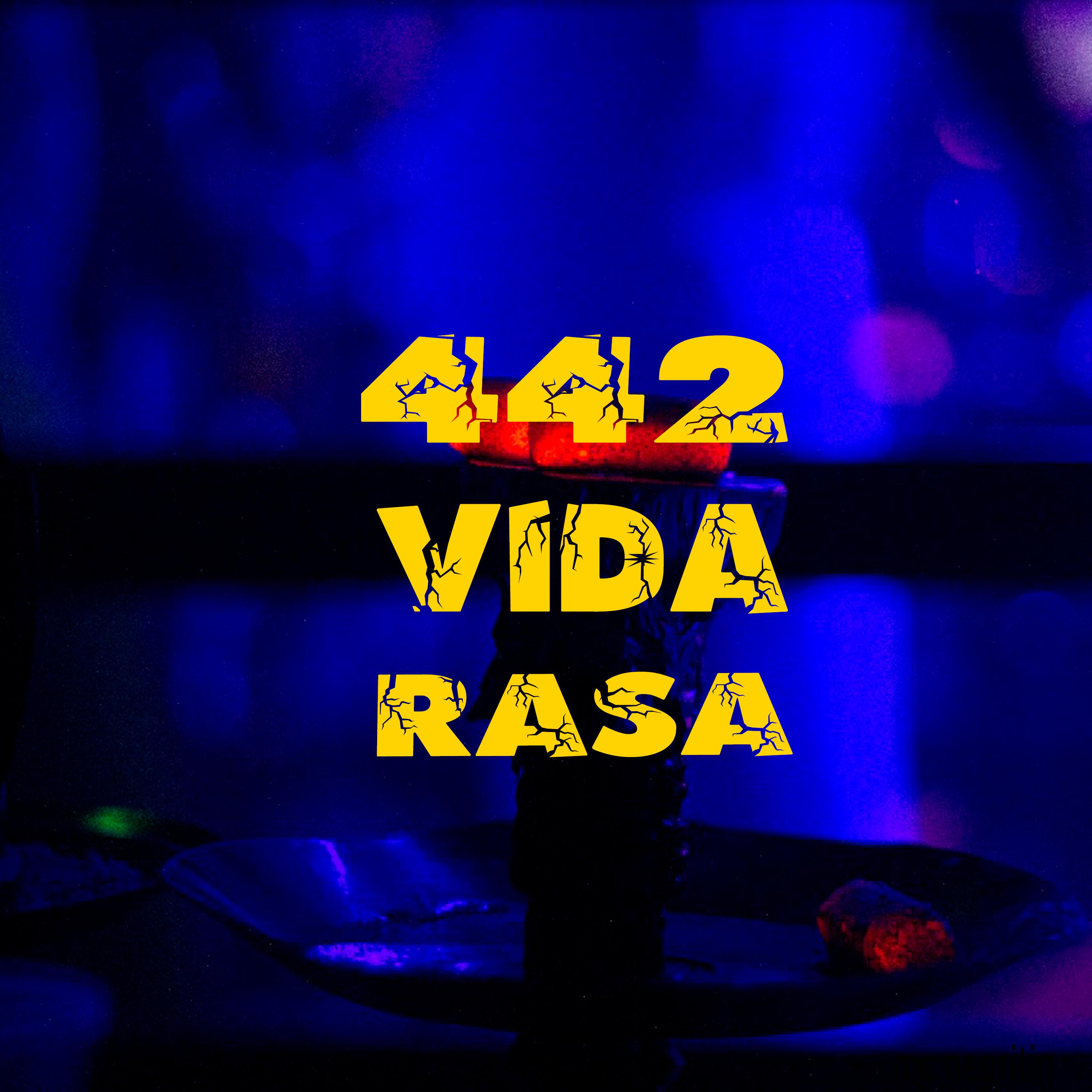 Постер альбома 442 Vida Rasa