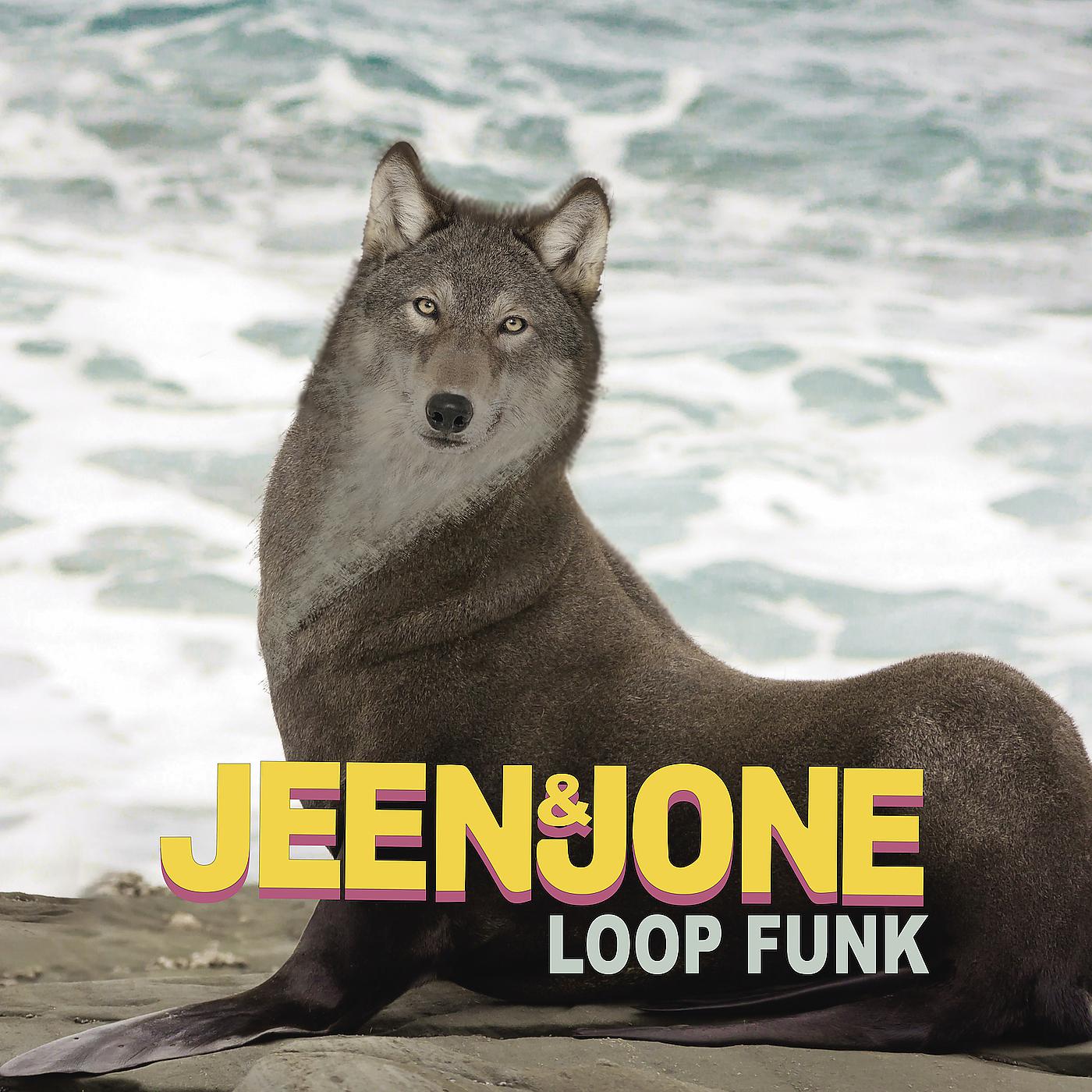 Постер альбома Loop Funk