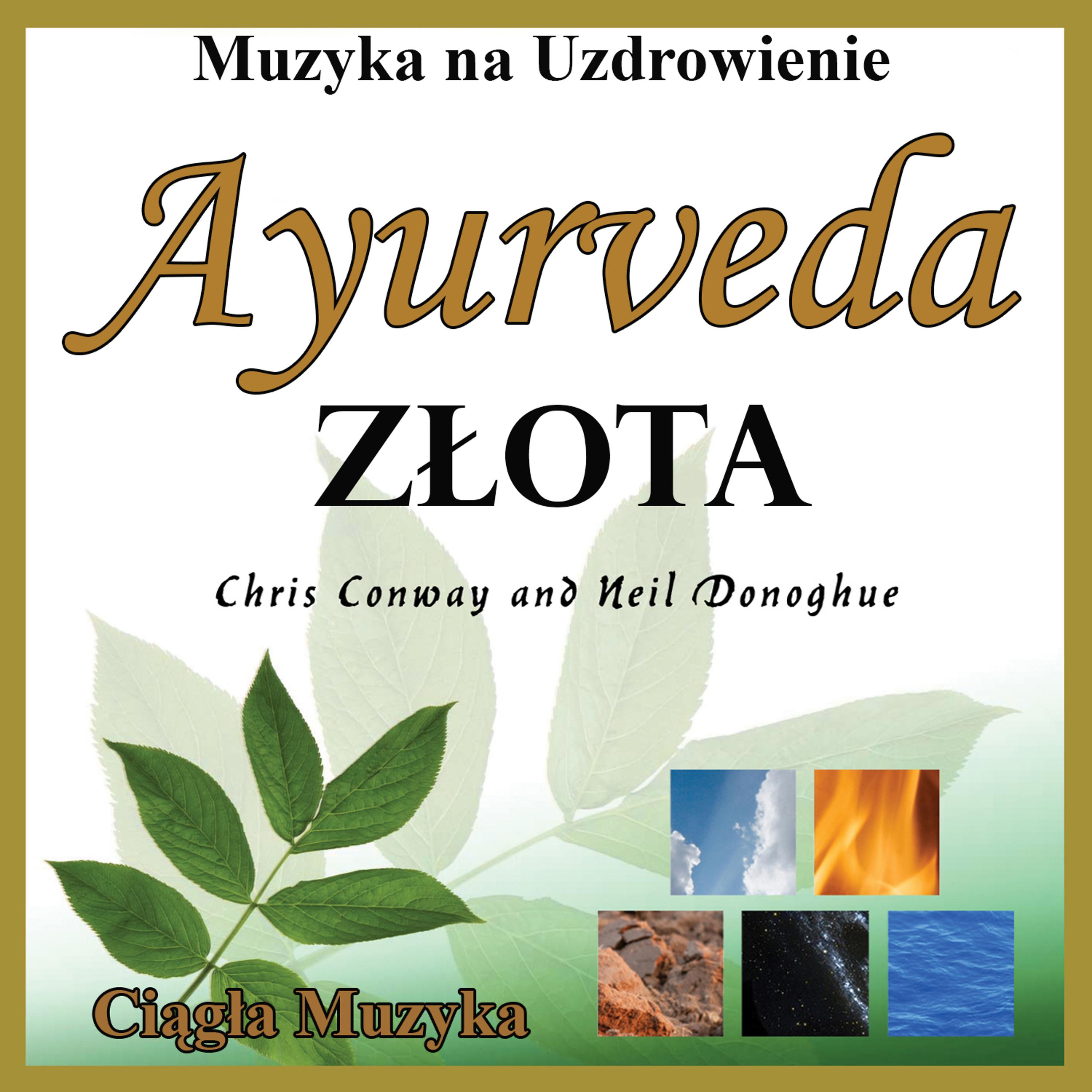 Постер альбома Ayurveda Złota: Muzyka na Uzdrowienie: Ciągła Muzyka
