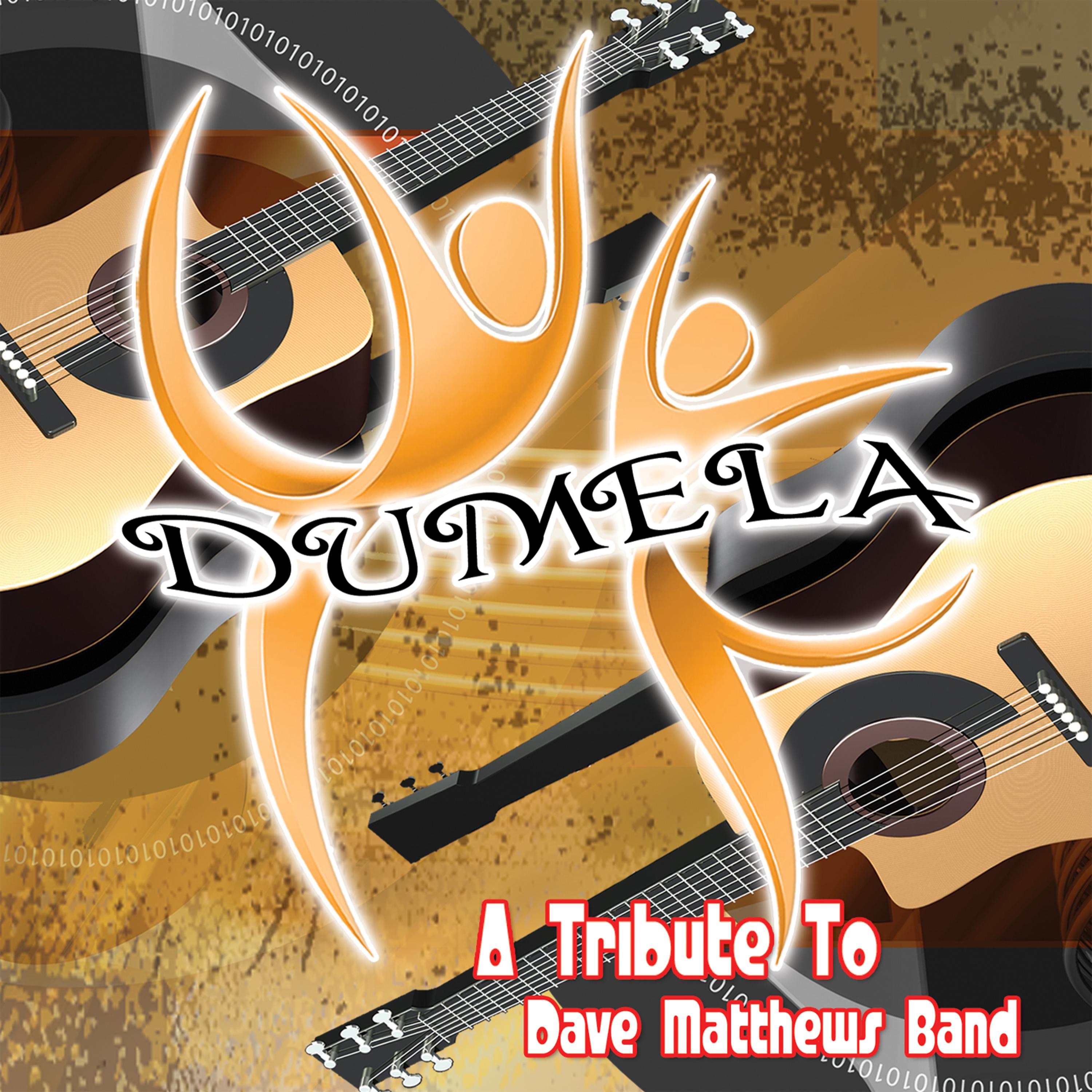 Постер альбома Dumela: A Tribute to Dave Matthews Band
