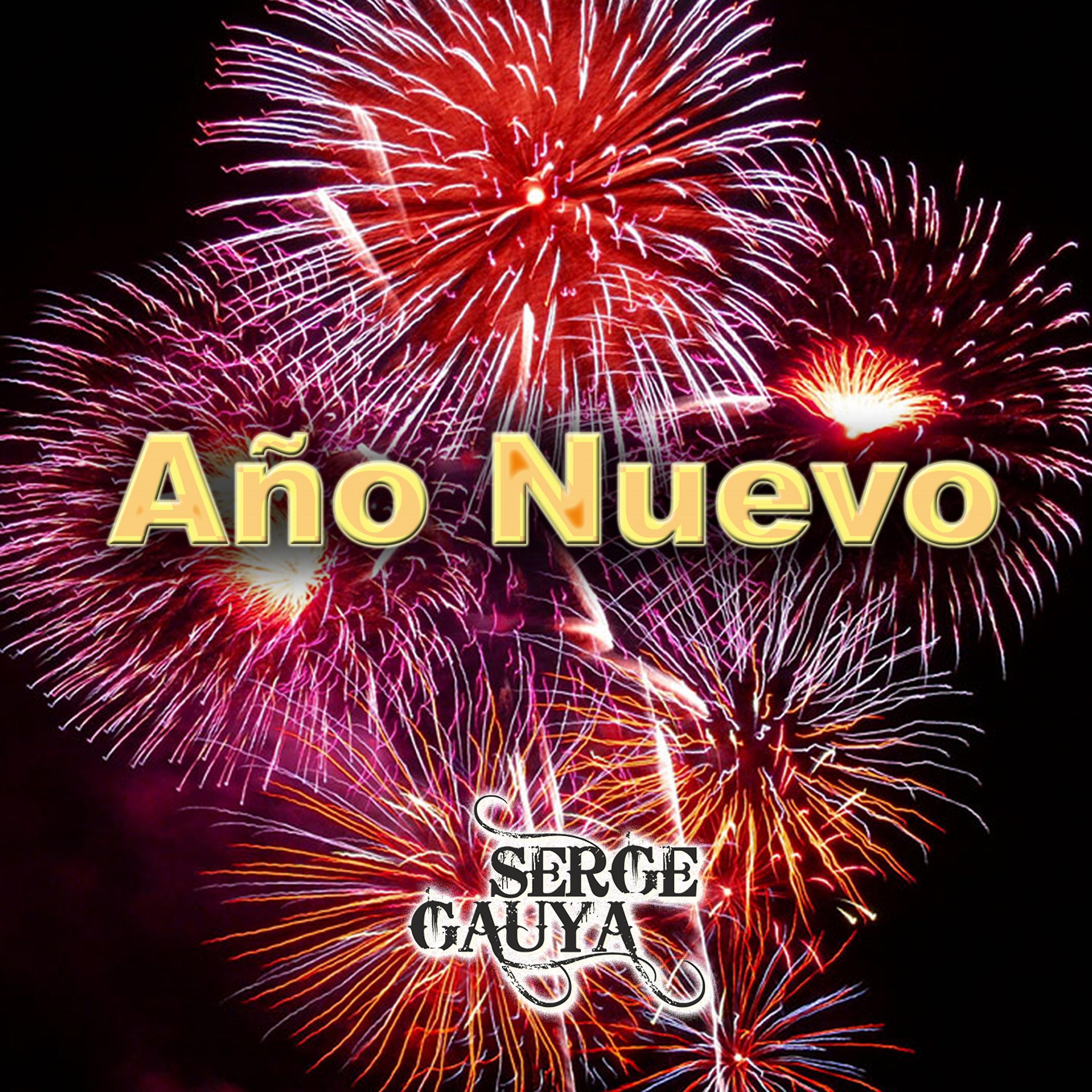 Постер альбома Año Nuevo (Radio Version)
