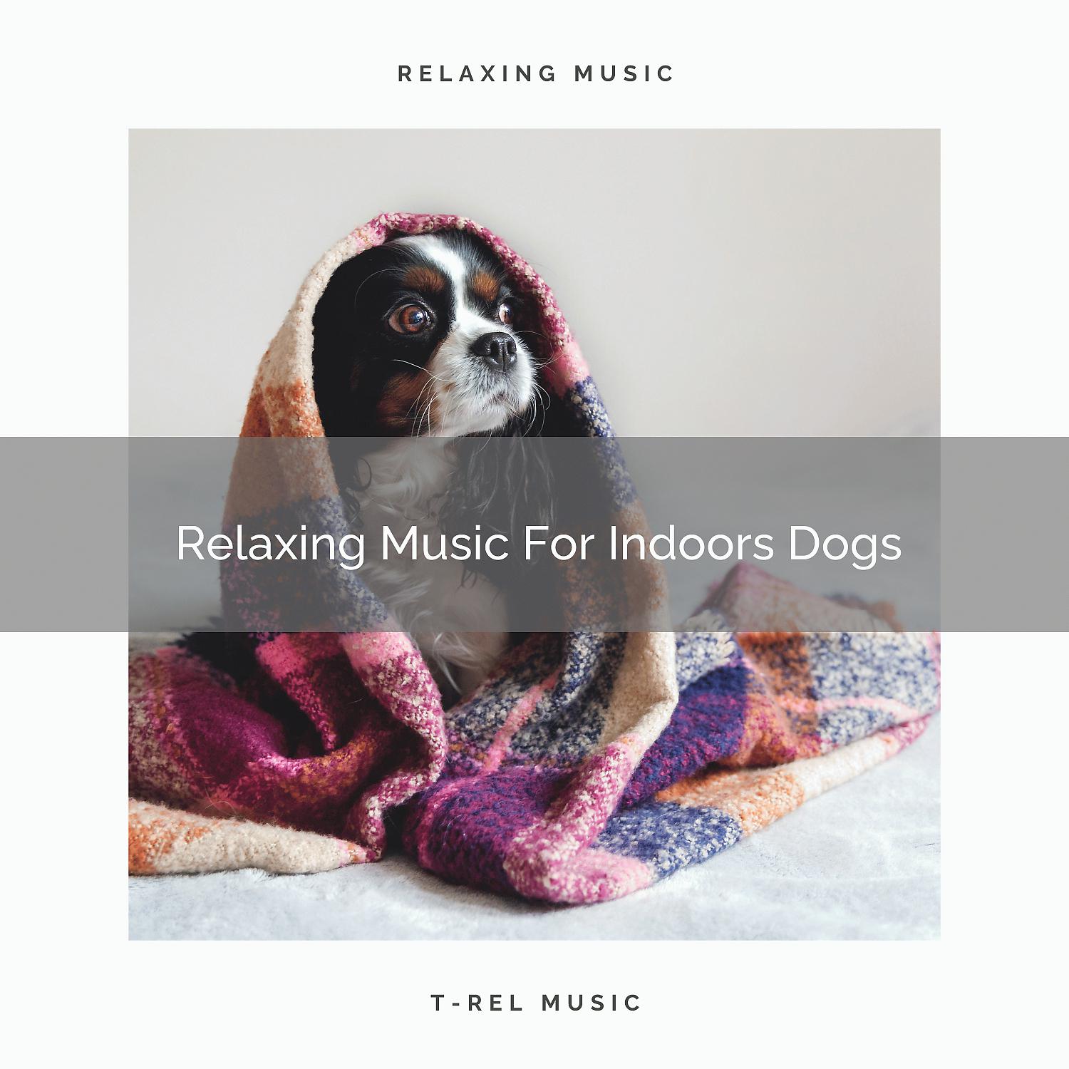 Постер альбома Relaxing Music For Indoors Dogs