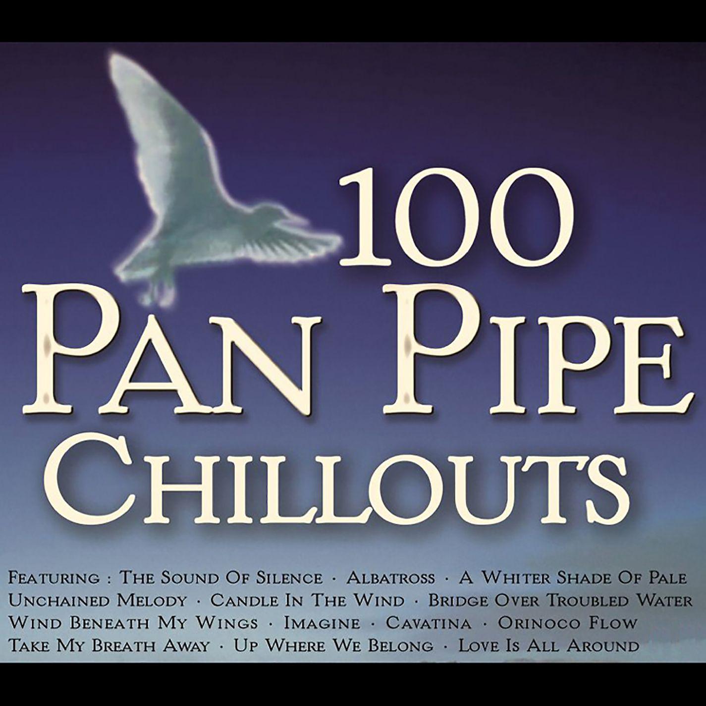 Постер альбома 100 Pan Pipe Chillouts