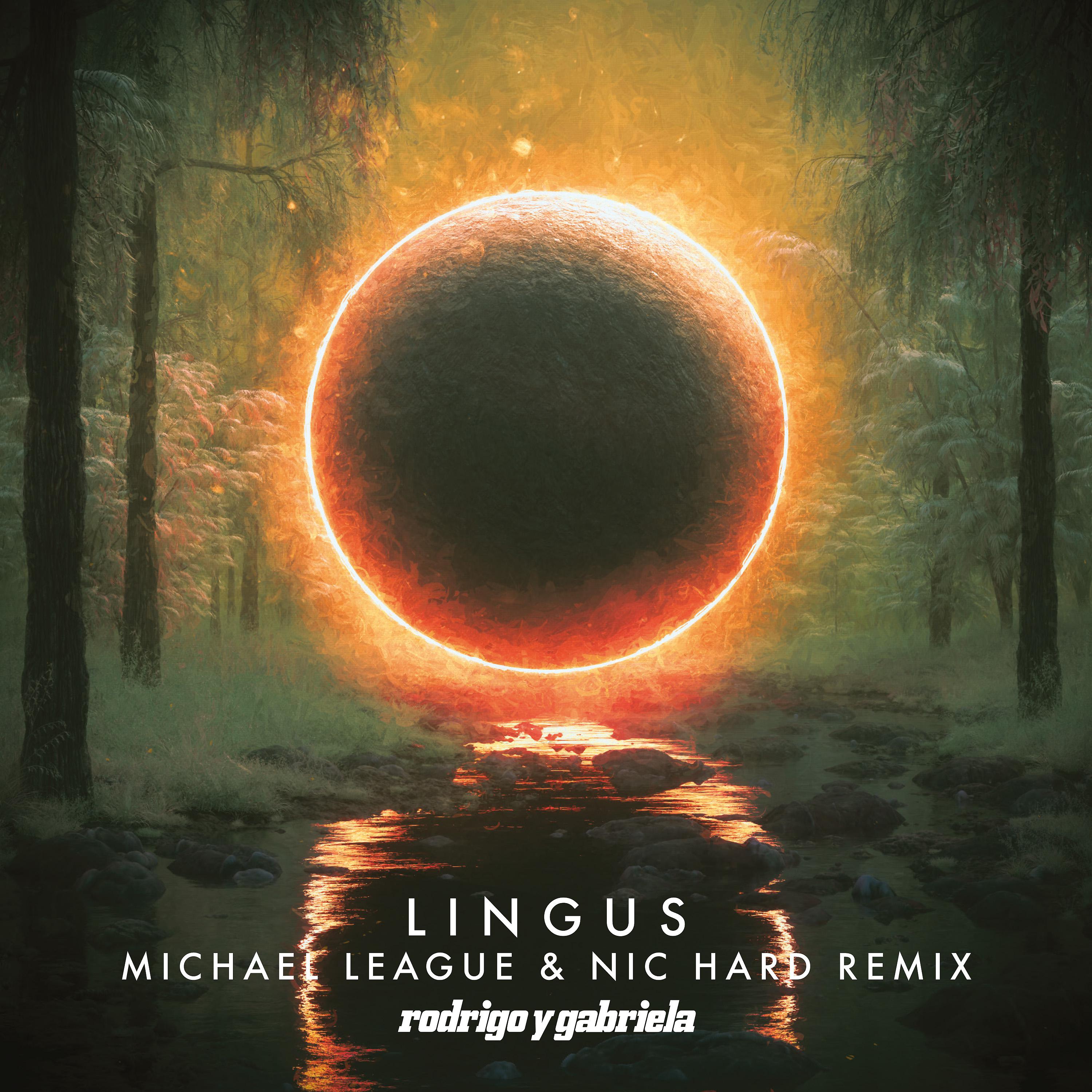 Постер альбома Lingus (Michael League & Nic Hard Remix)