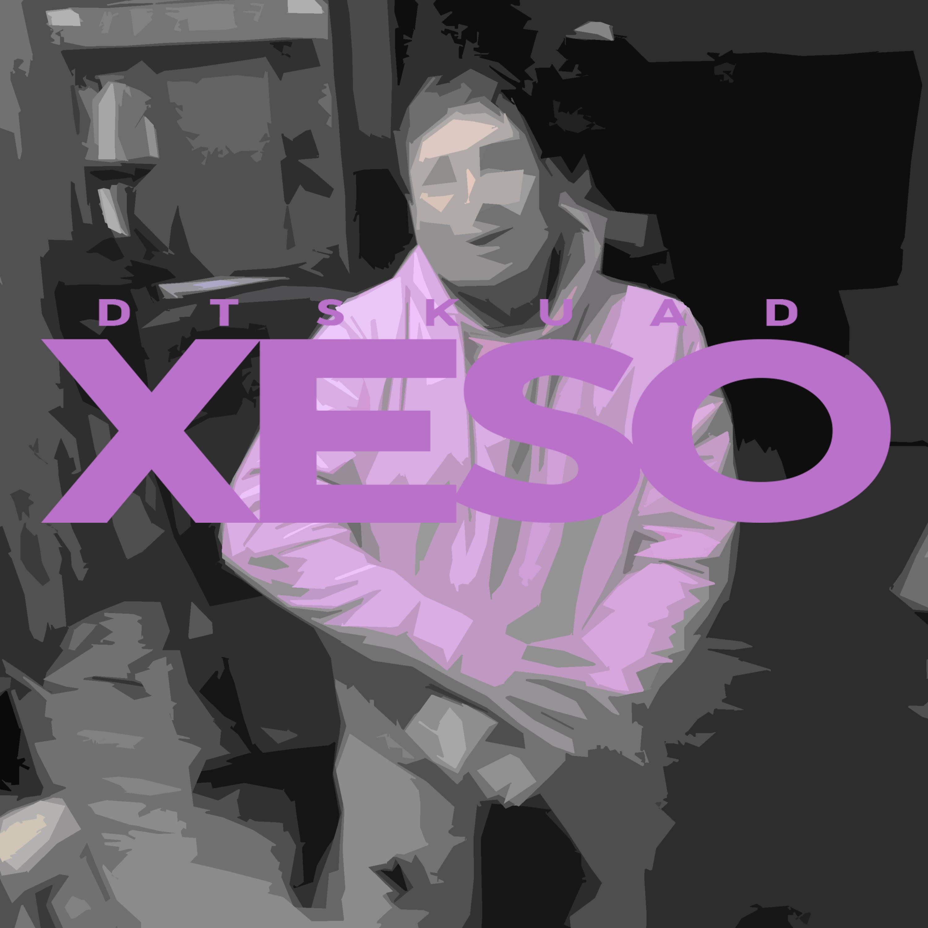 Постер альбома Xeso