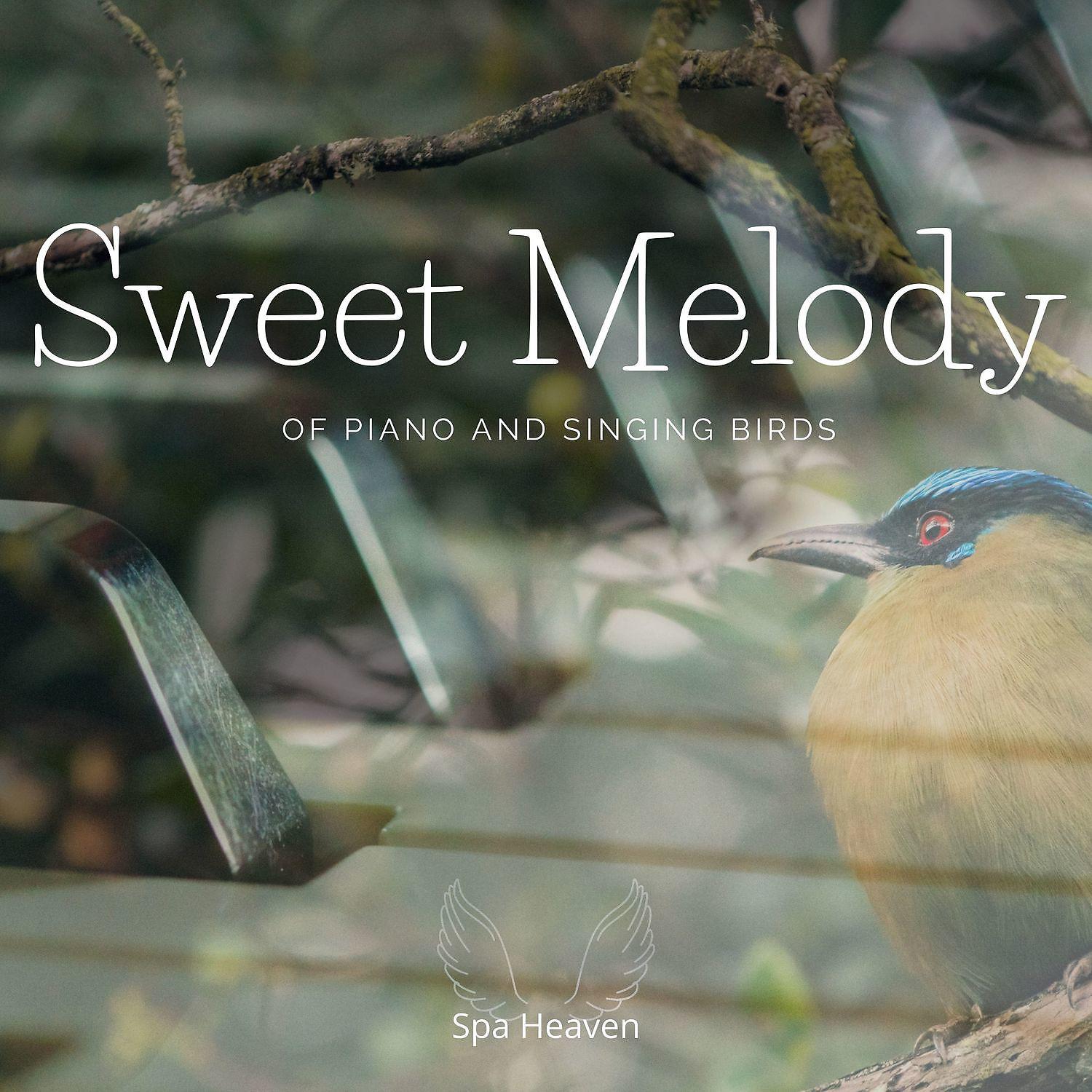 Постер альбома Sweet Melody of Piano and Singing Birds
