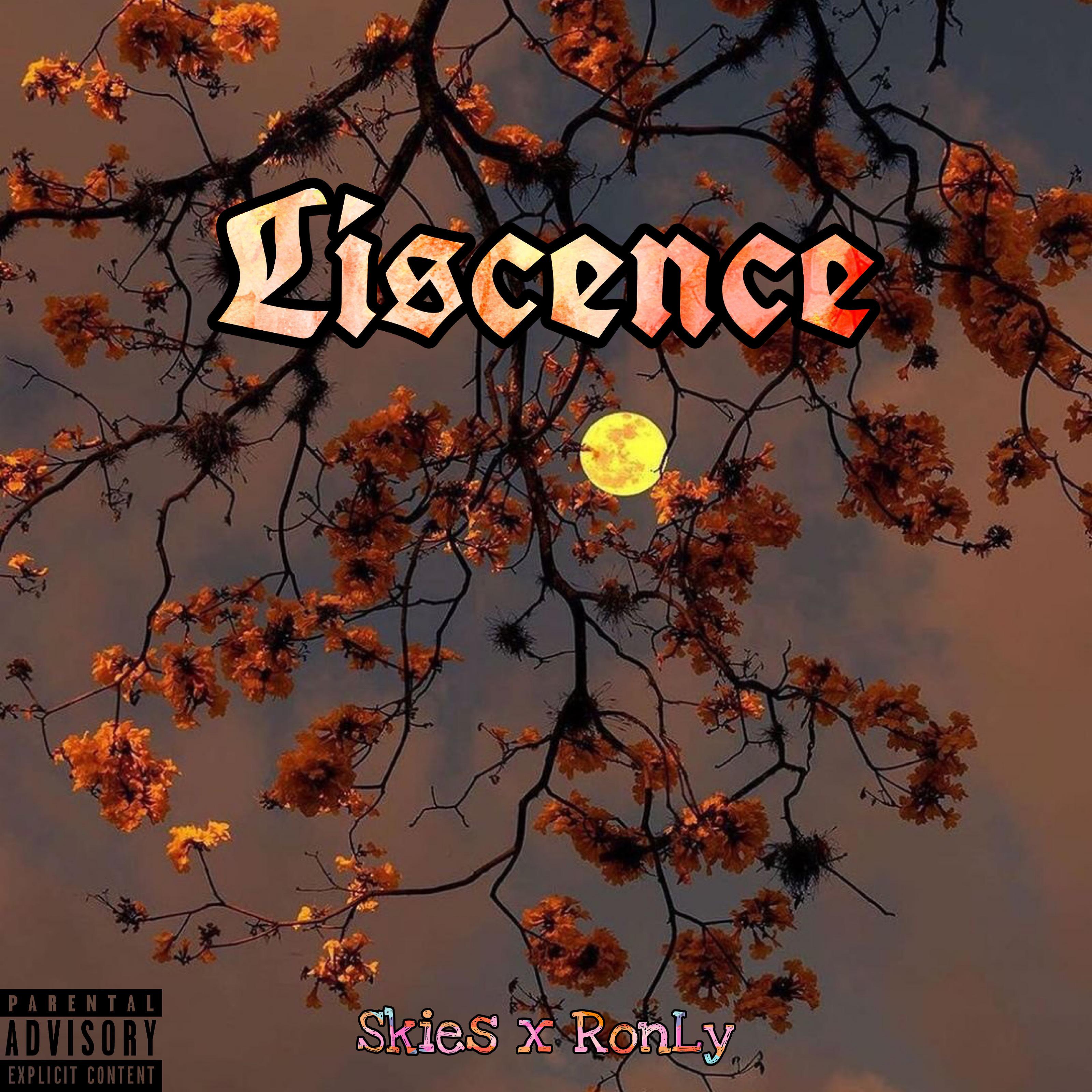 Постер альбома Liscence