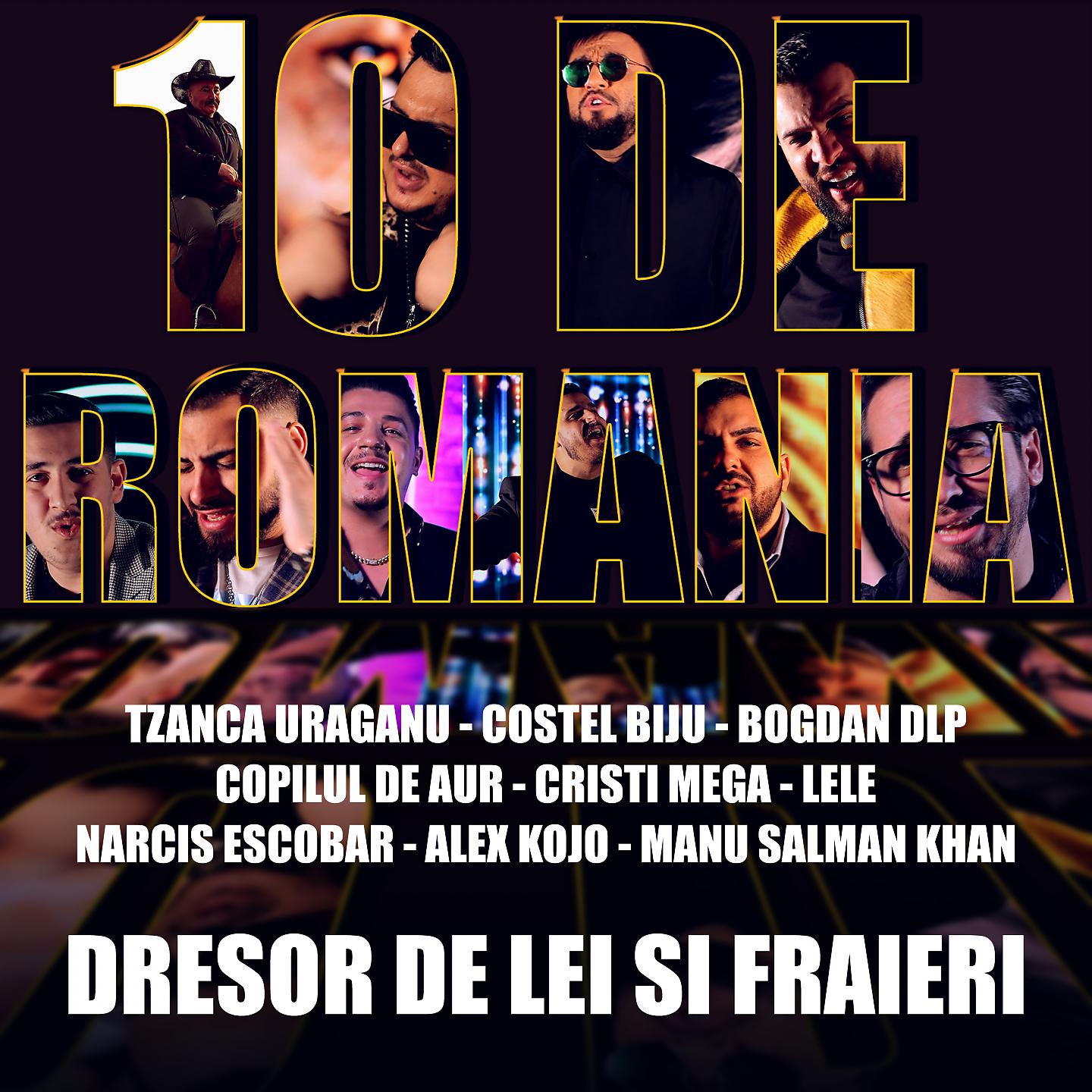 Постер альбома Dresor de lei si fraieri