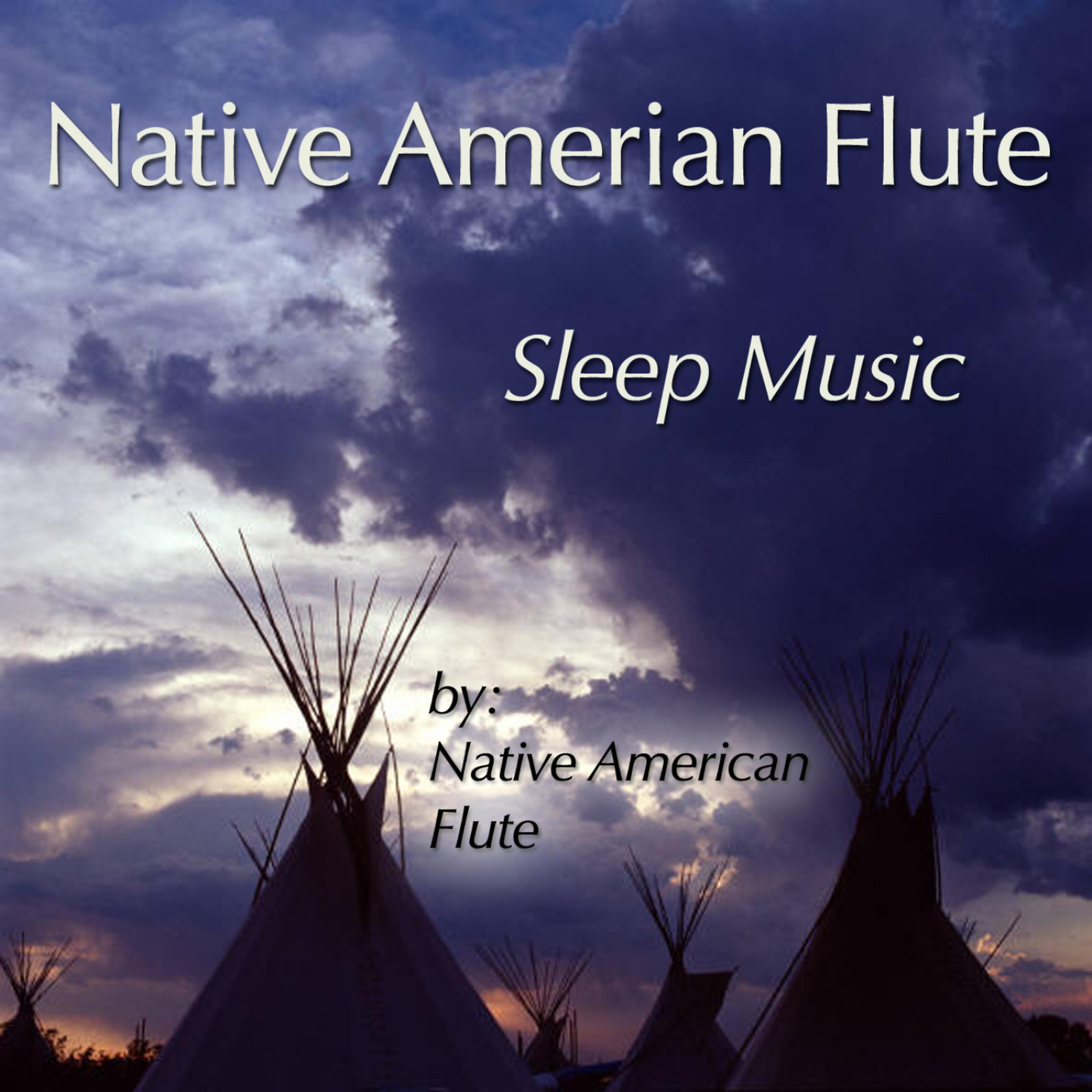 Постер альбома Native American Flute: Sleep Music