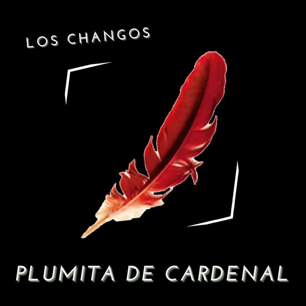 Постер альбома Plumita de Cardenal