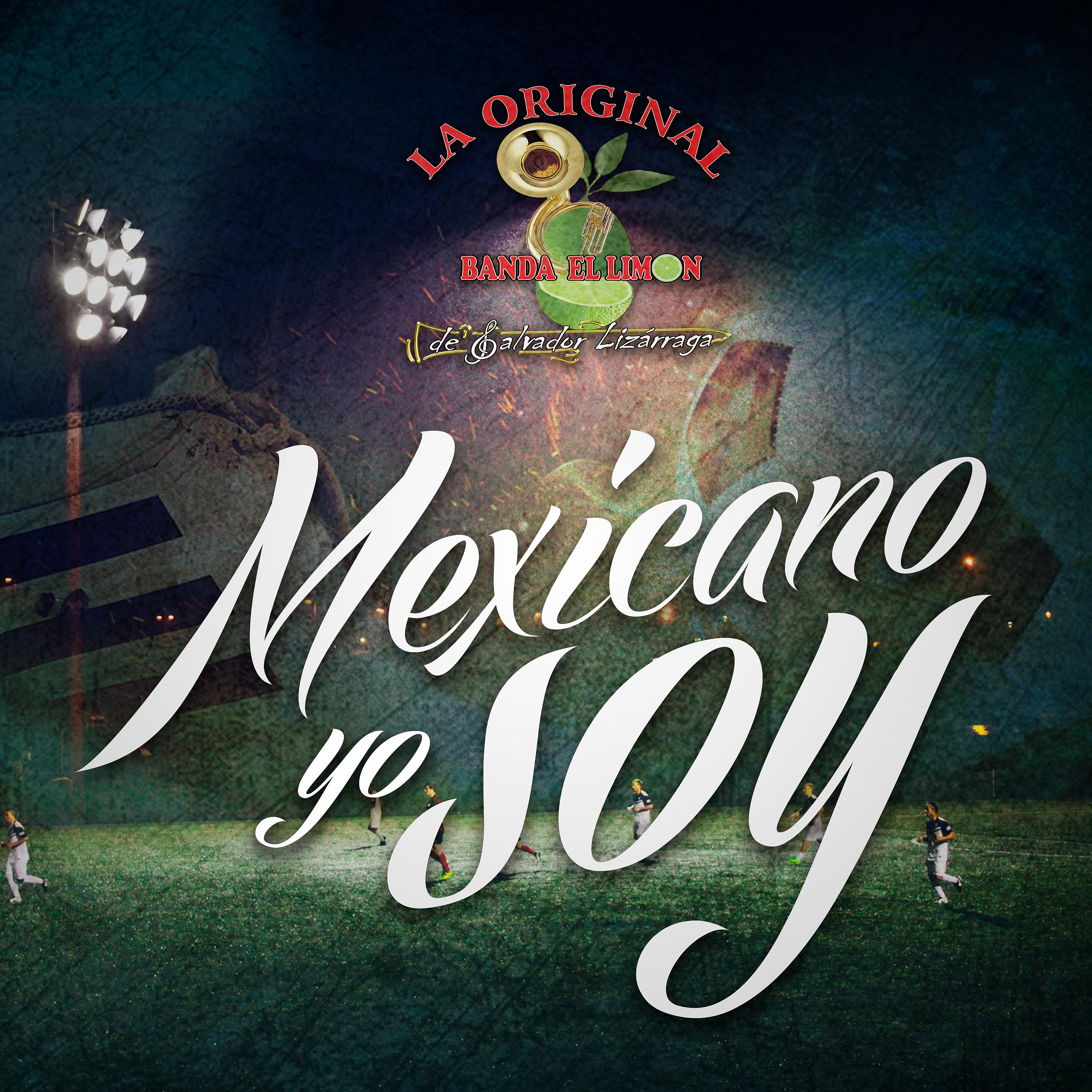 Постер альбома Mexicano Yo Soy