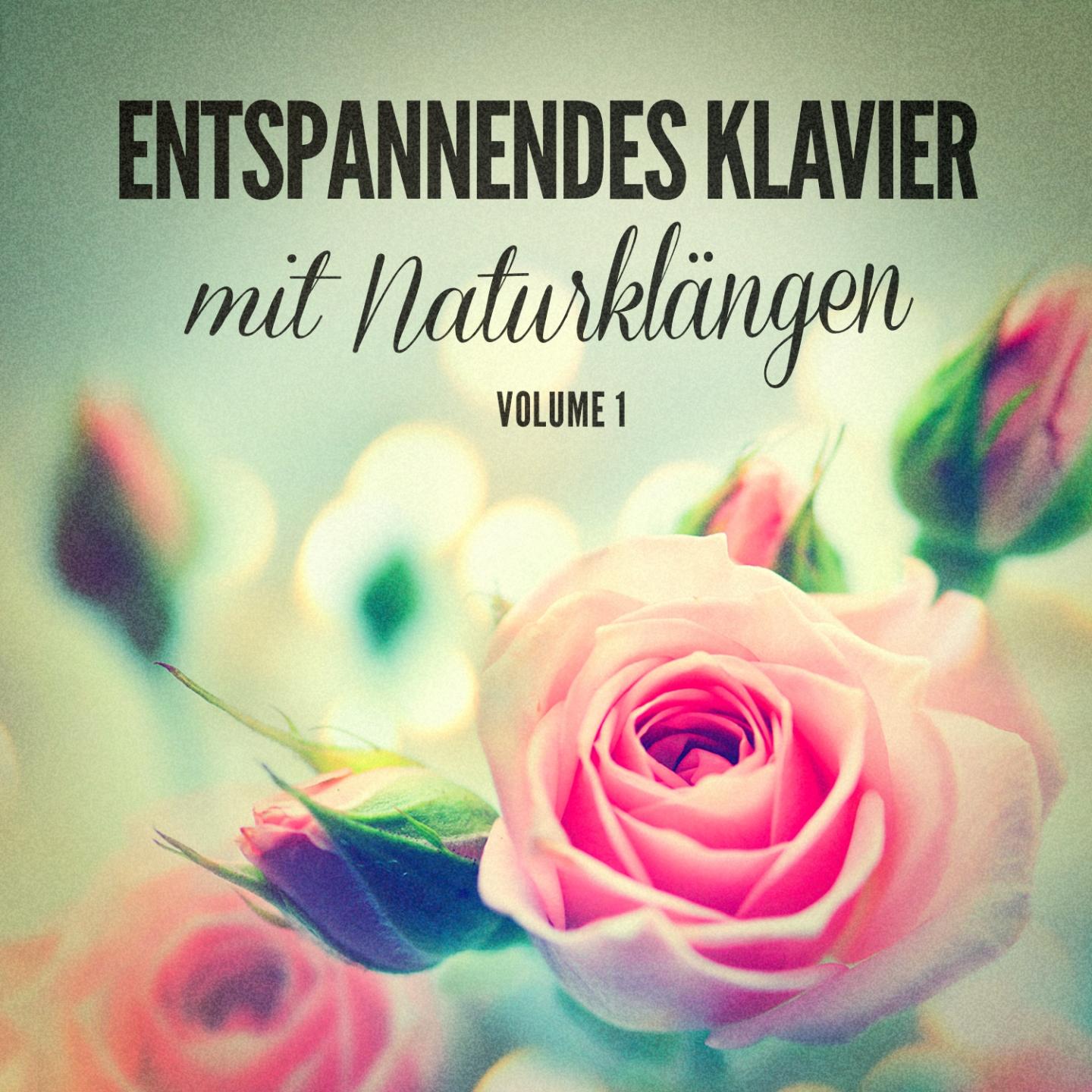 Постер альбома Entspannendes klavier mit naturklängen