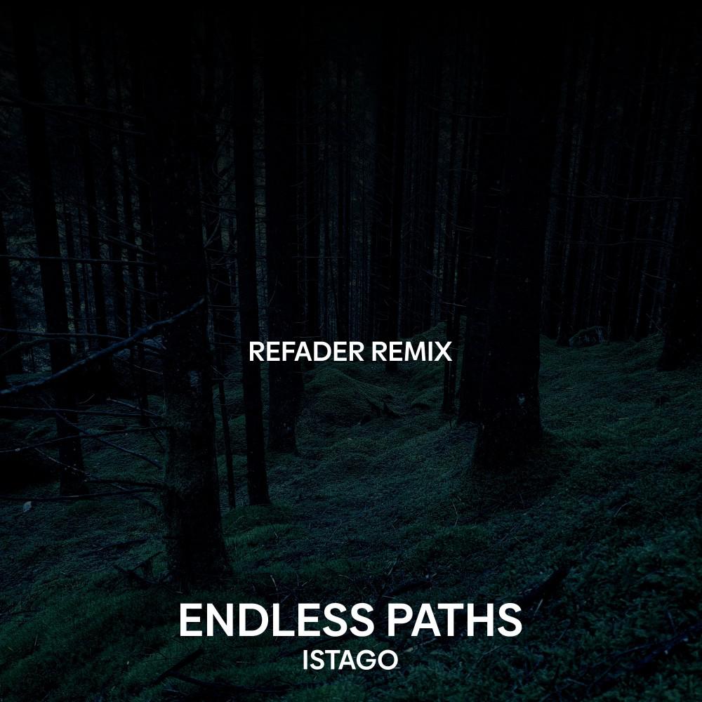 Постер альбома Endless Paths (Refader Remix)