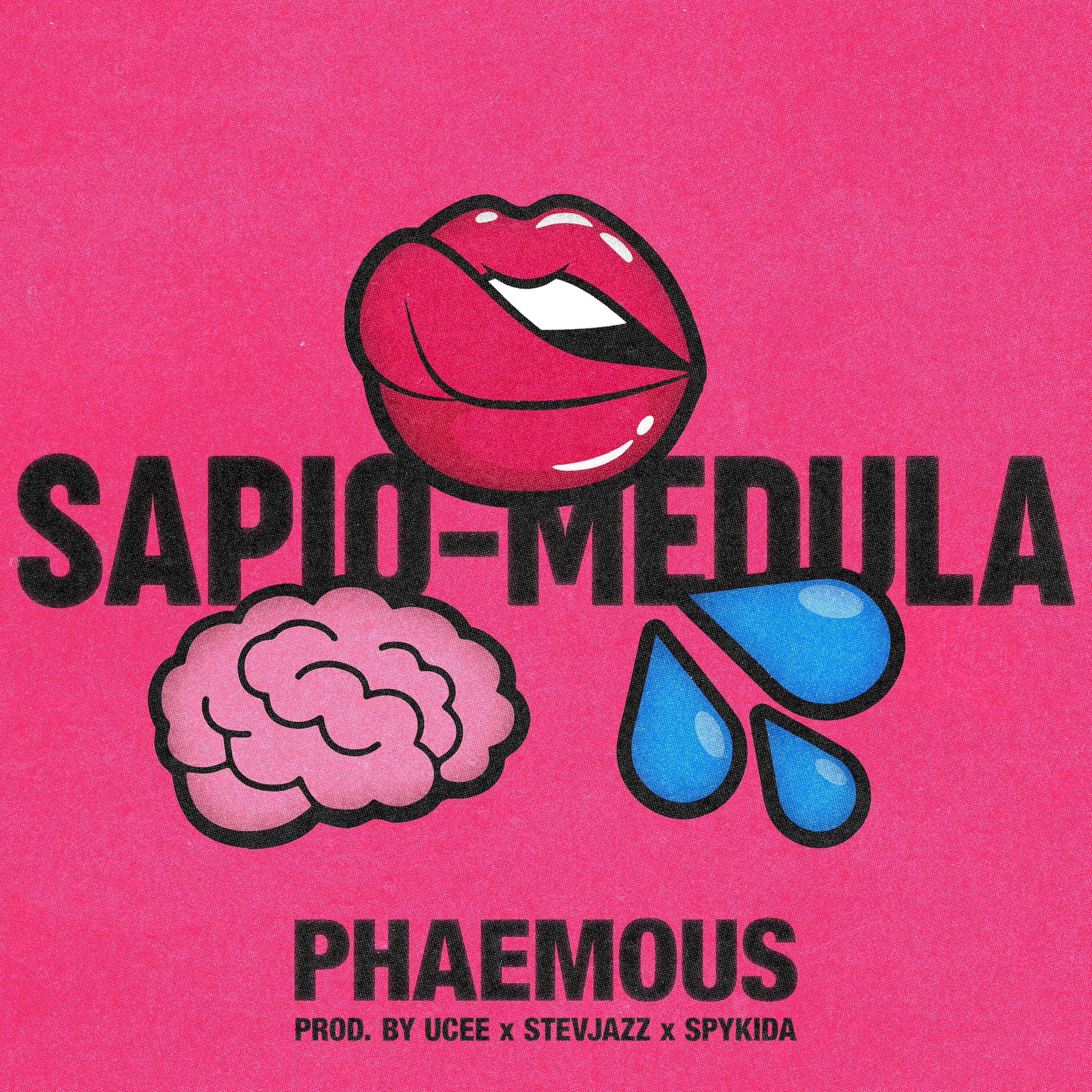 Постер альбома Sapio-Medula