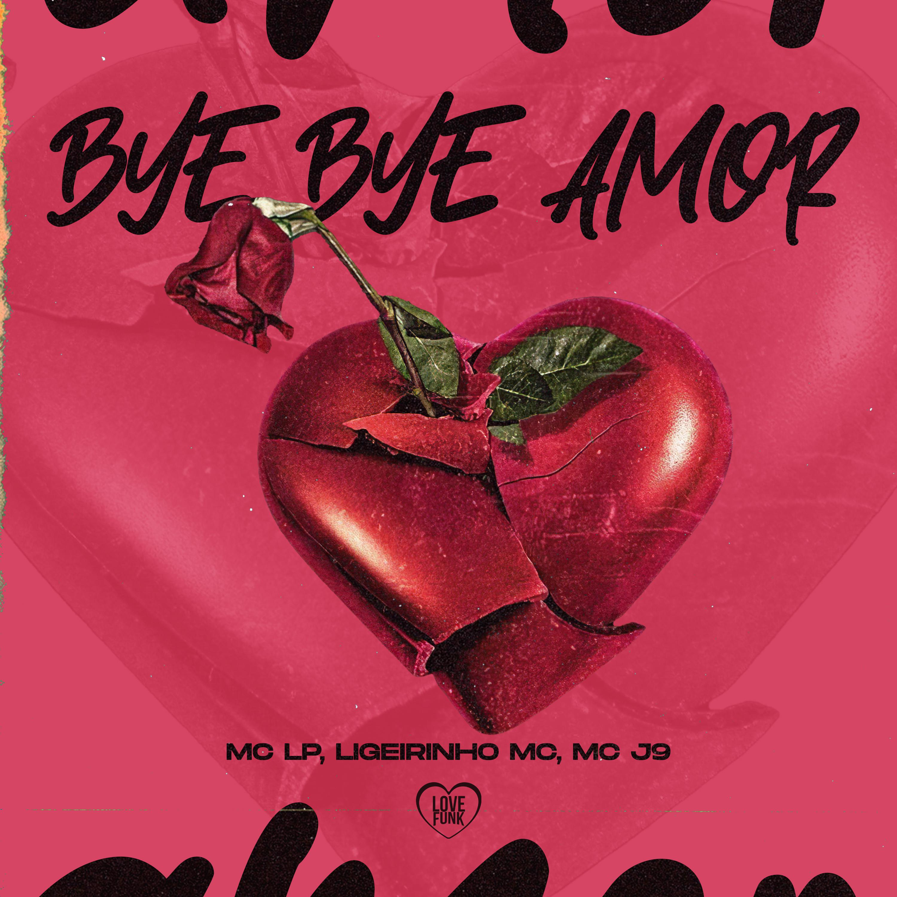 Постер альбома Bye Bye Amor