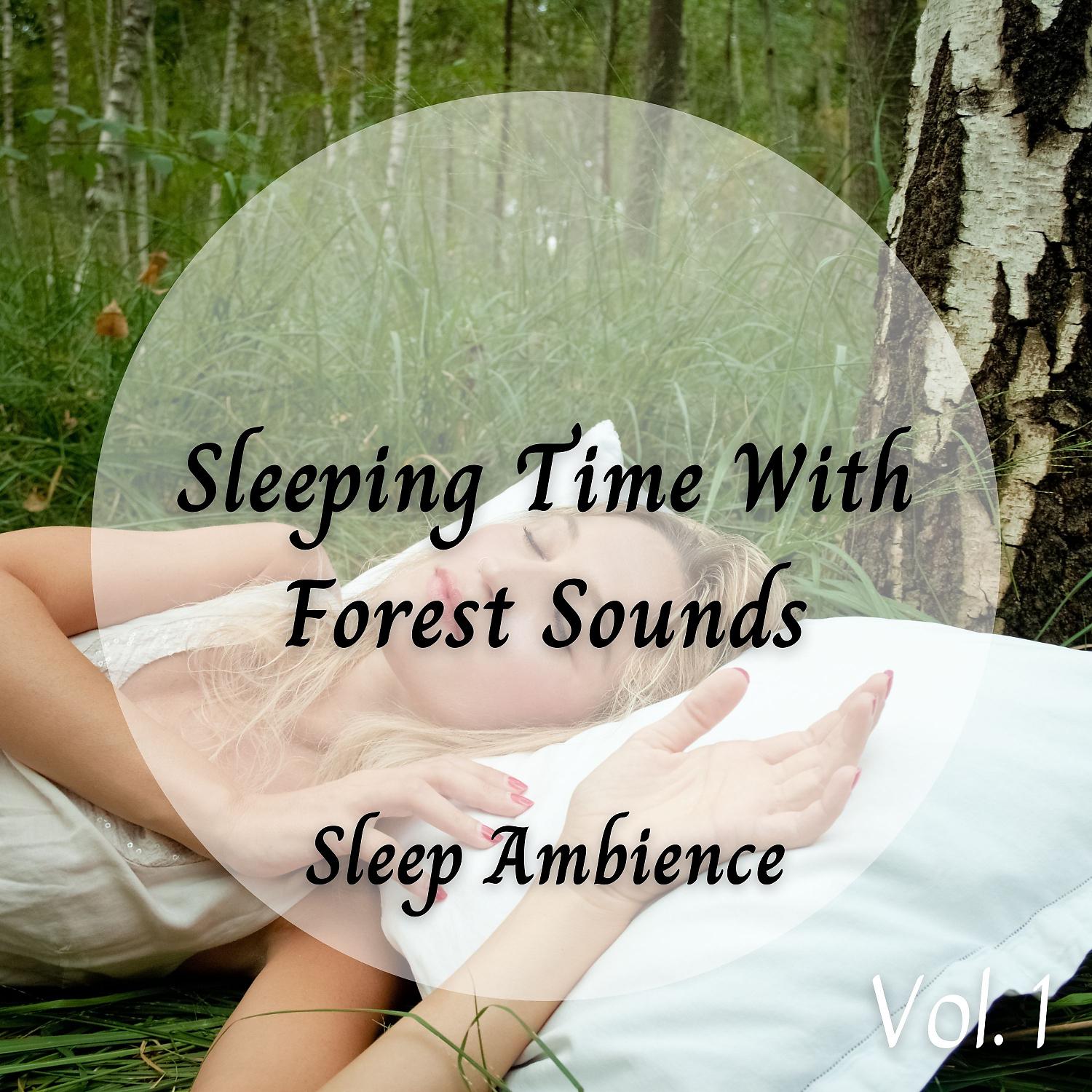 Постер альбома Sleep Ambience: Sleeping Time With Forest Sounds Vol. 1