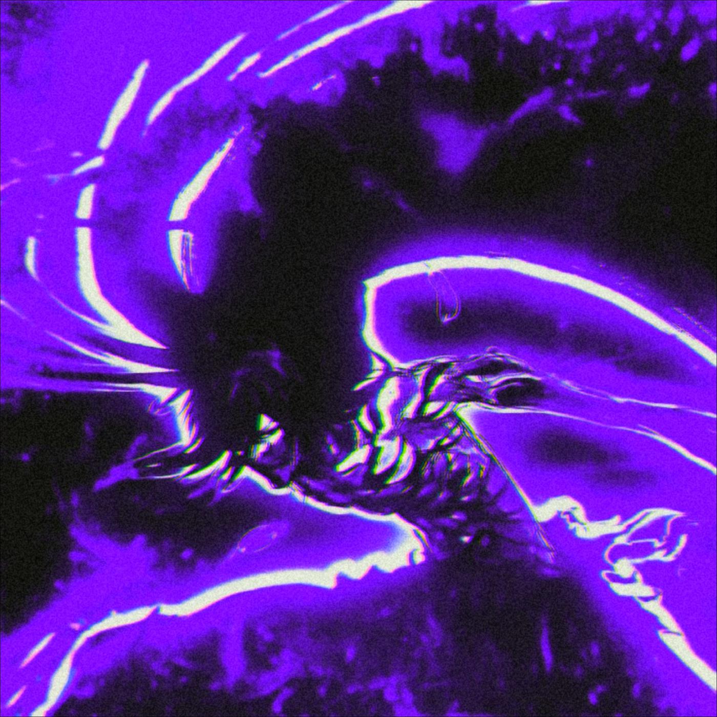 Постер альбома Predator (Slowed)
