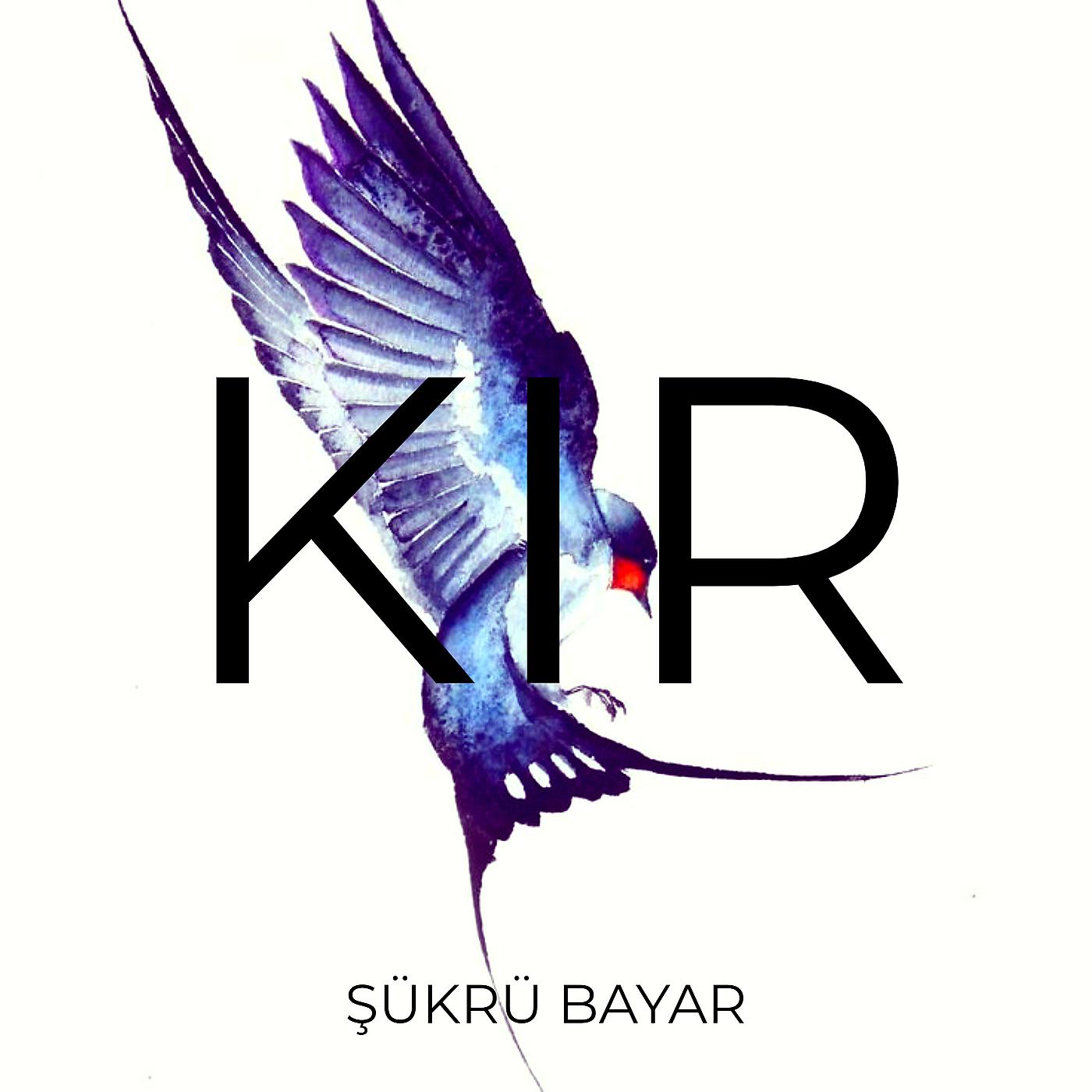 Постер альбома Kir