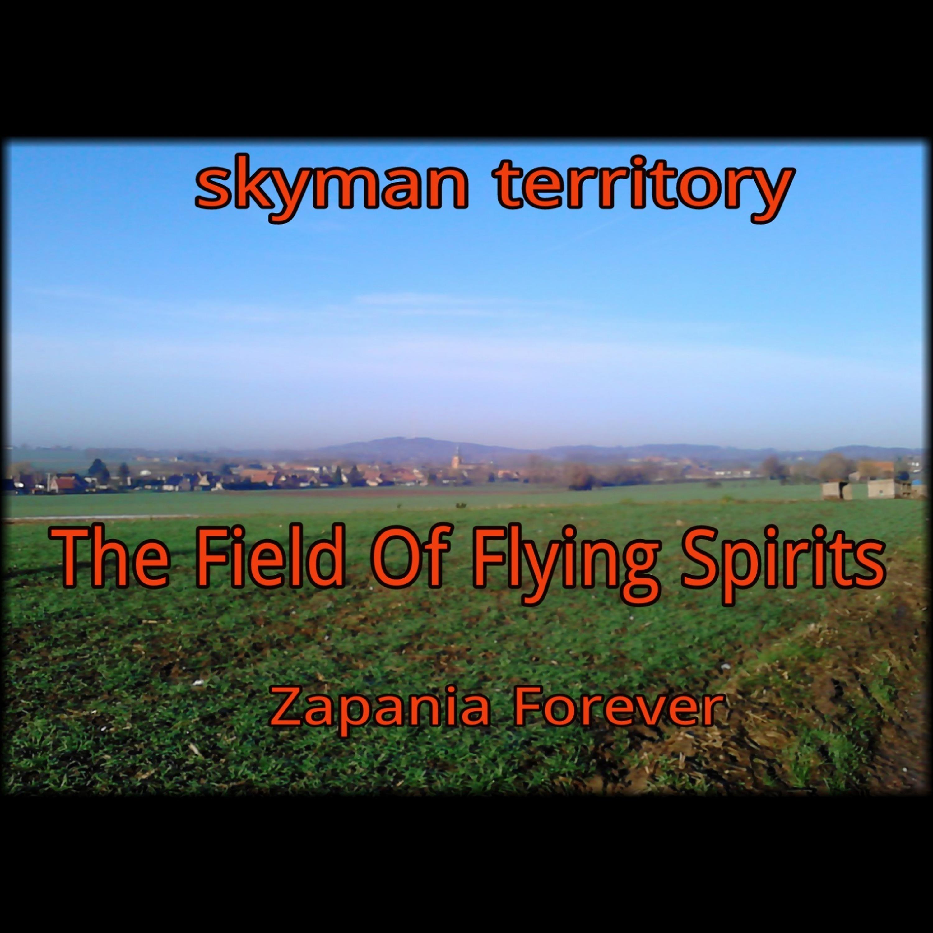 Постер альбома The Field of Flying Spirits