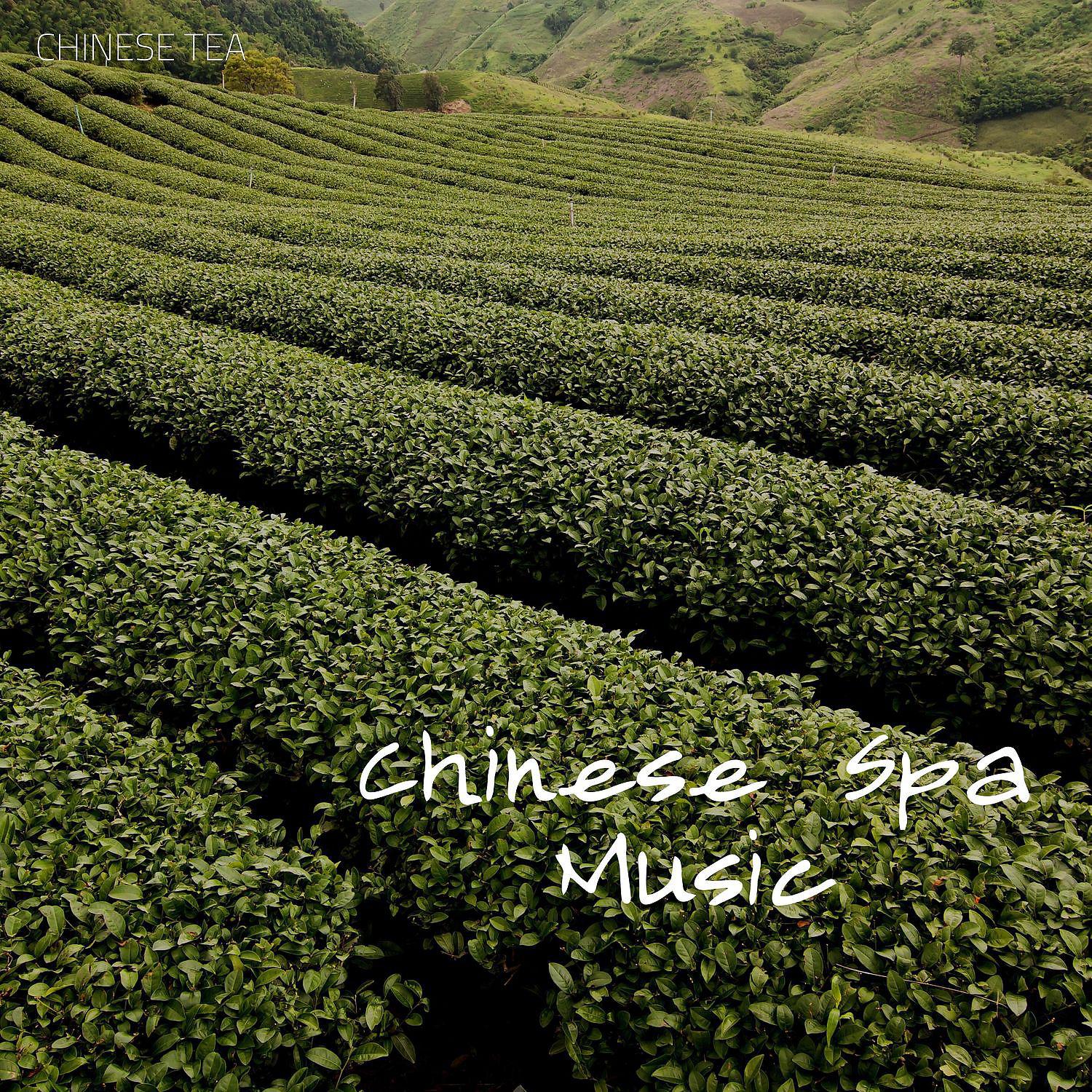 Постер альбома Chinese Spa Music, Tea House