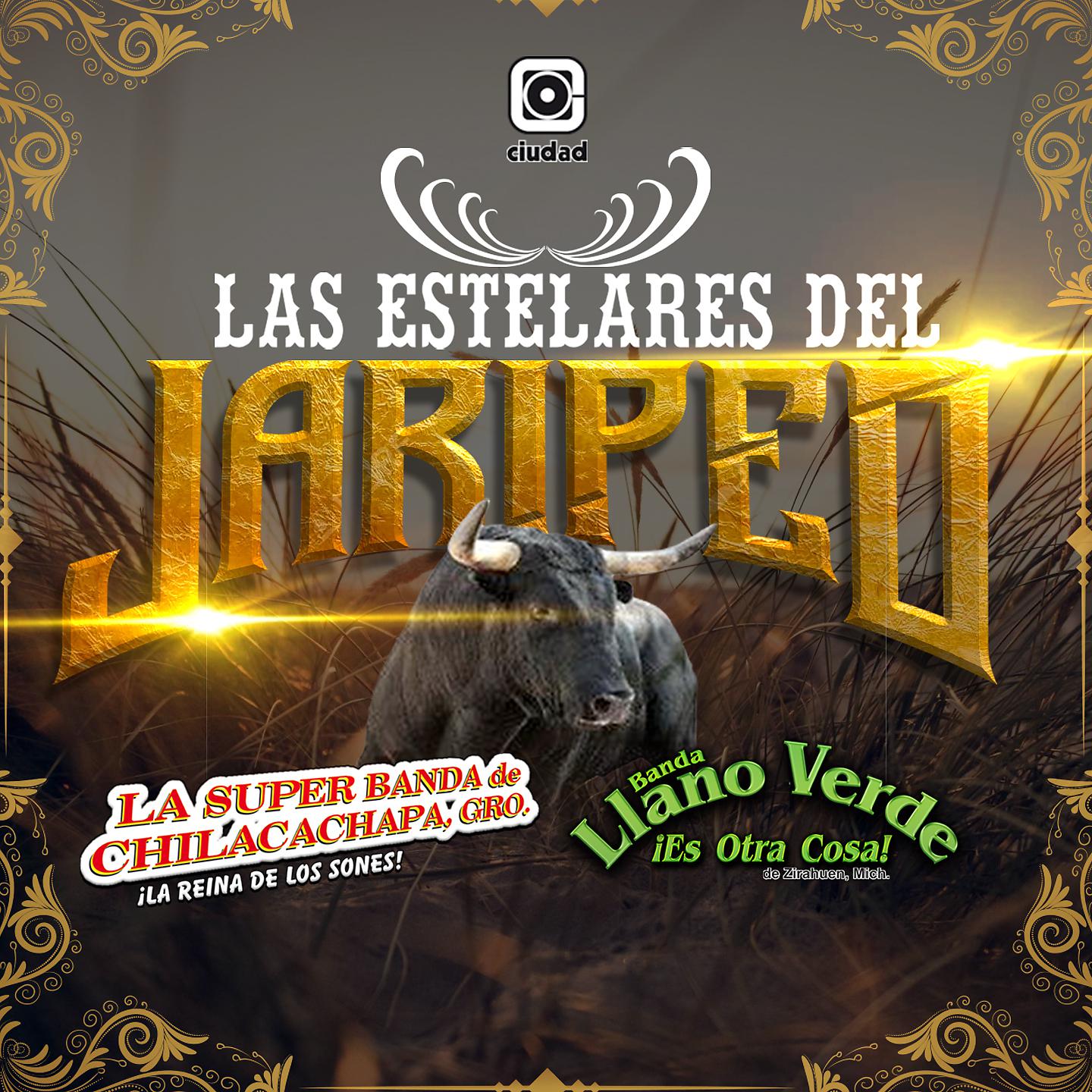 Постер альбома Las estelares del Jaripeo