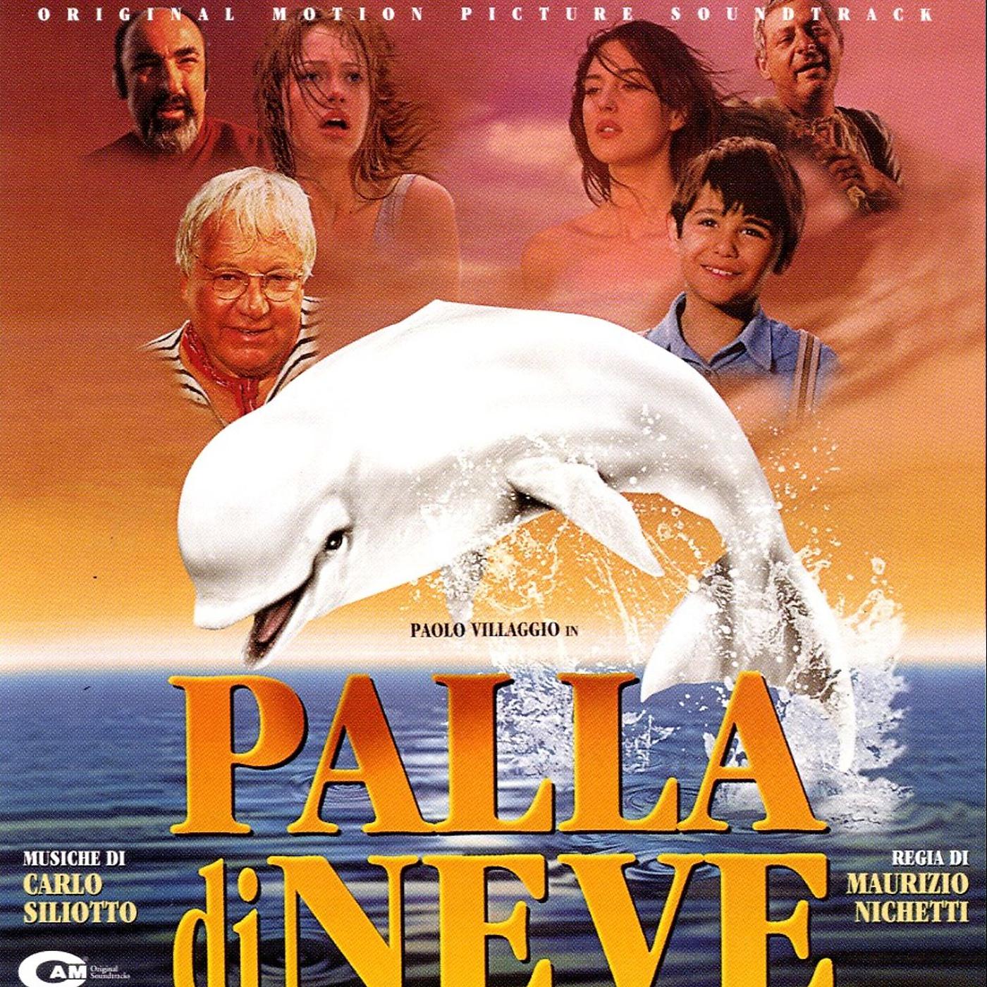 Постер альбома Palla di neve
