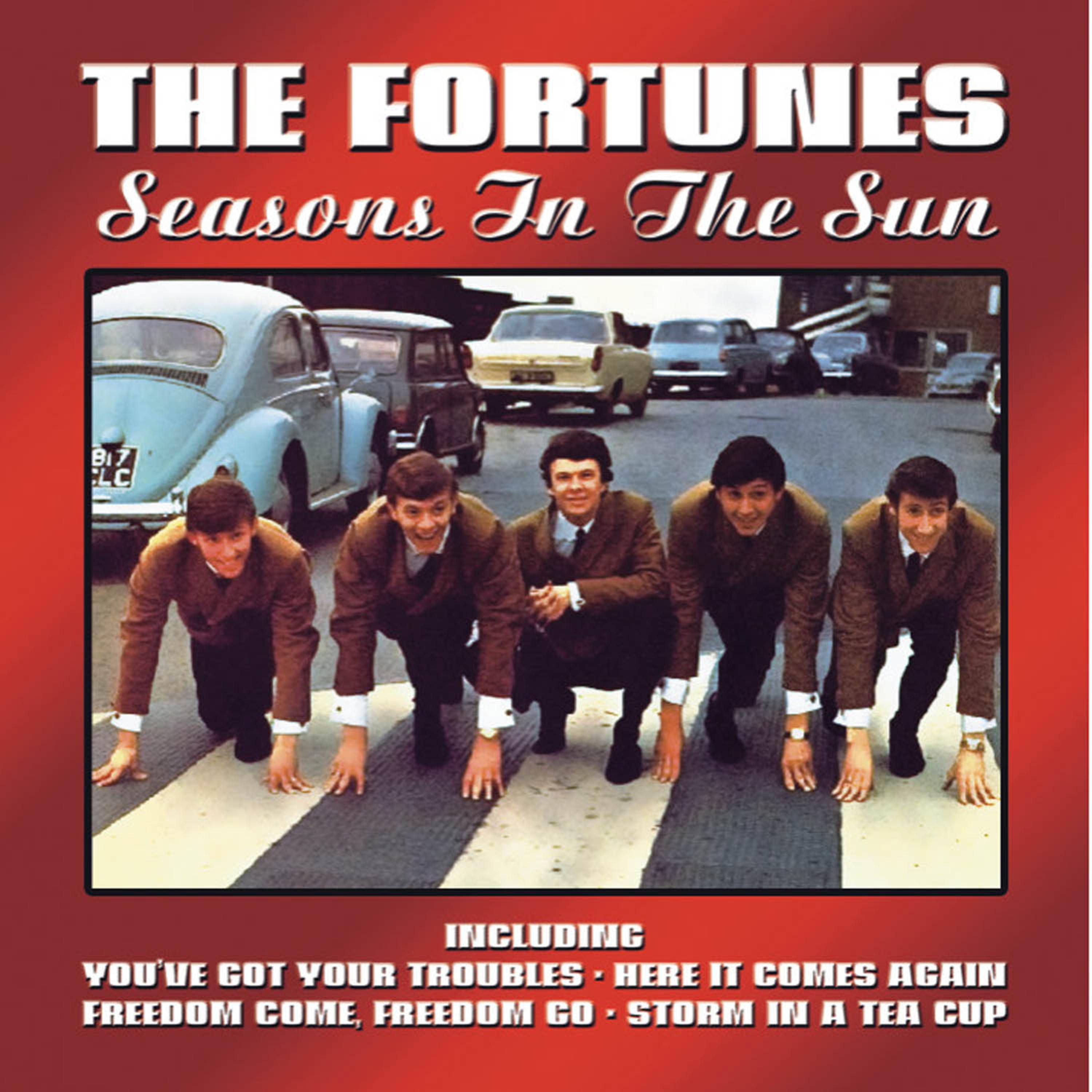 Постер альбома Seasons In The Sun