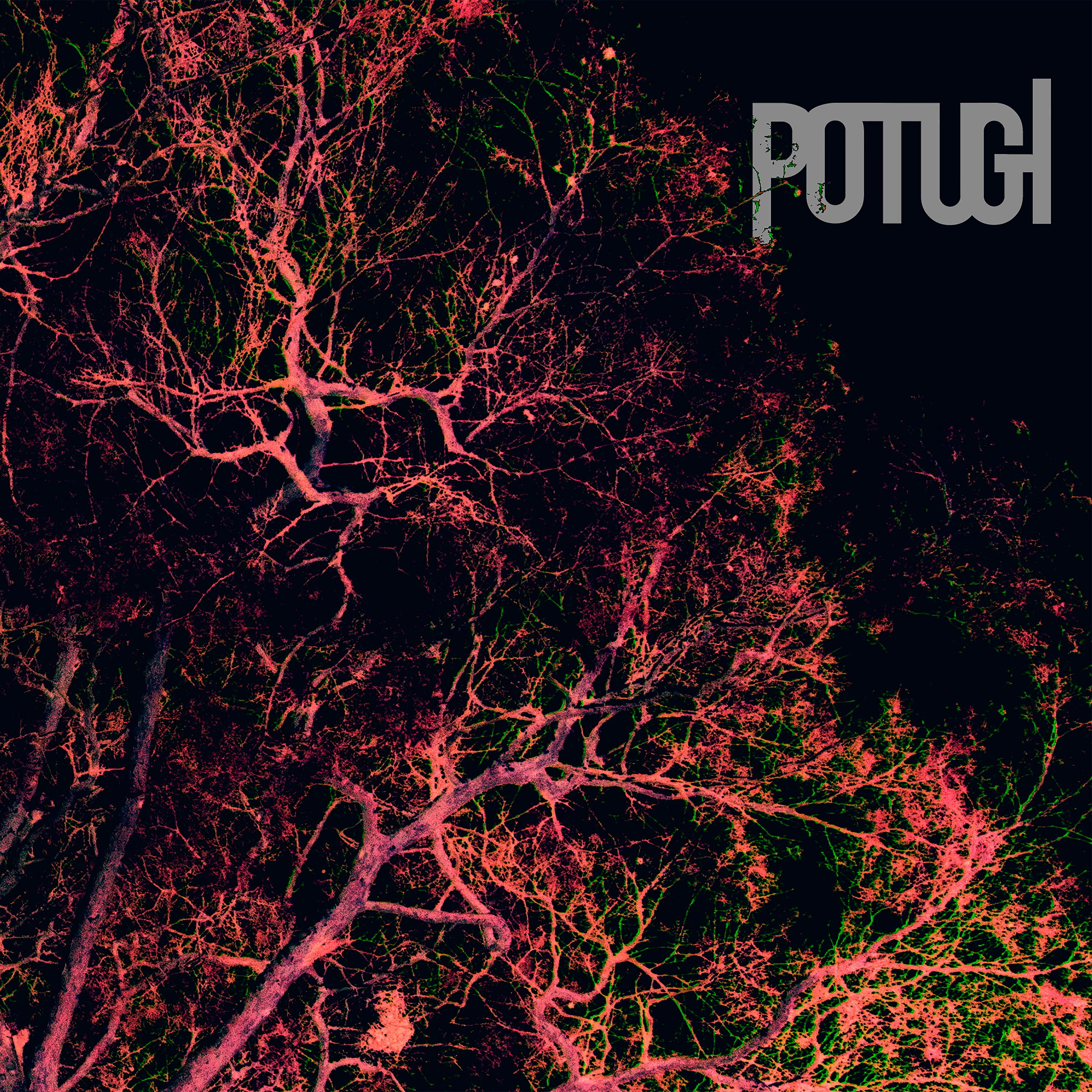 Постер альбома Potugi