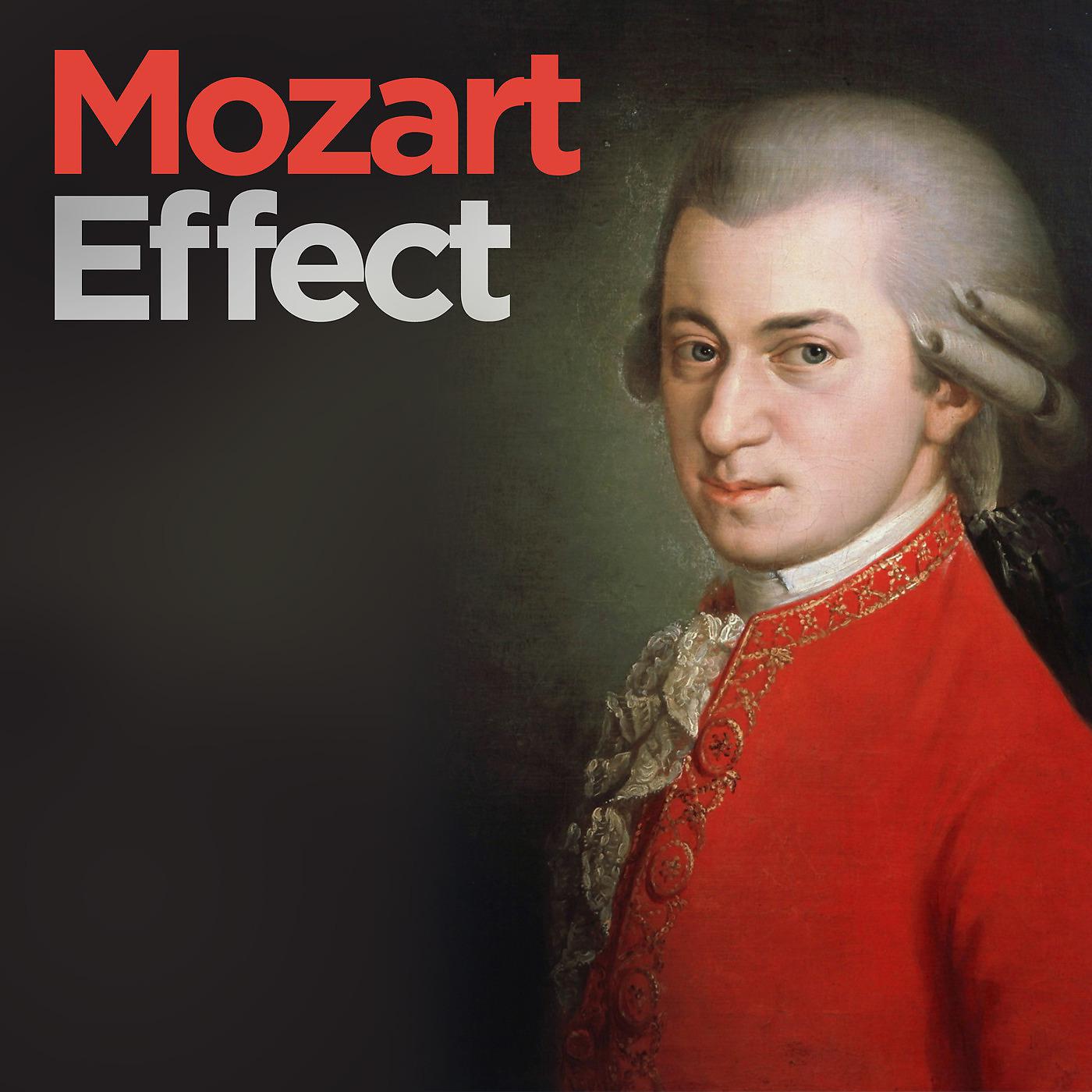 Постер альбома Mozart Effect