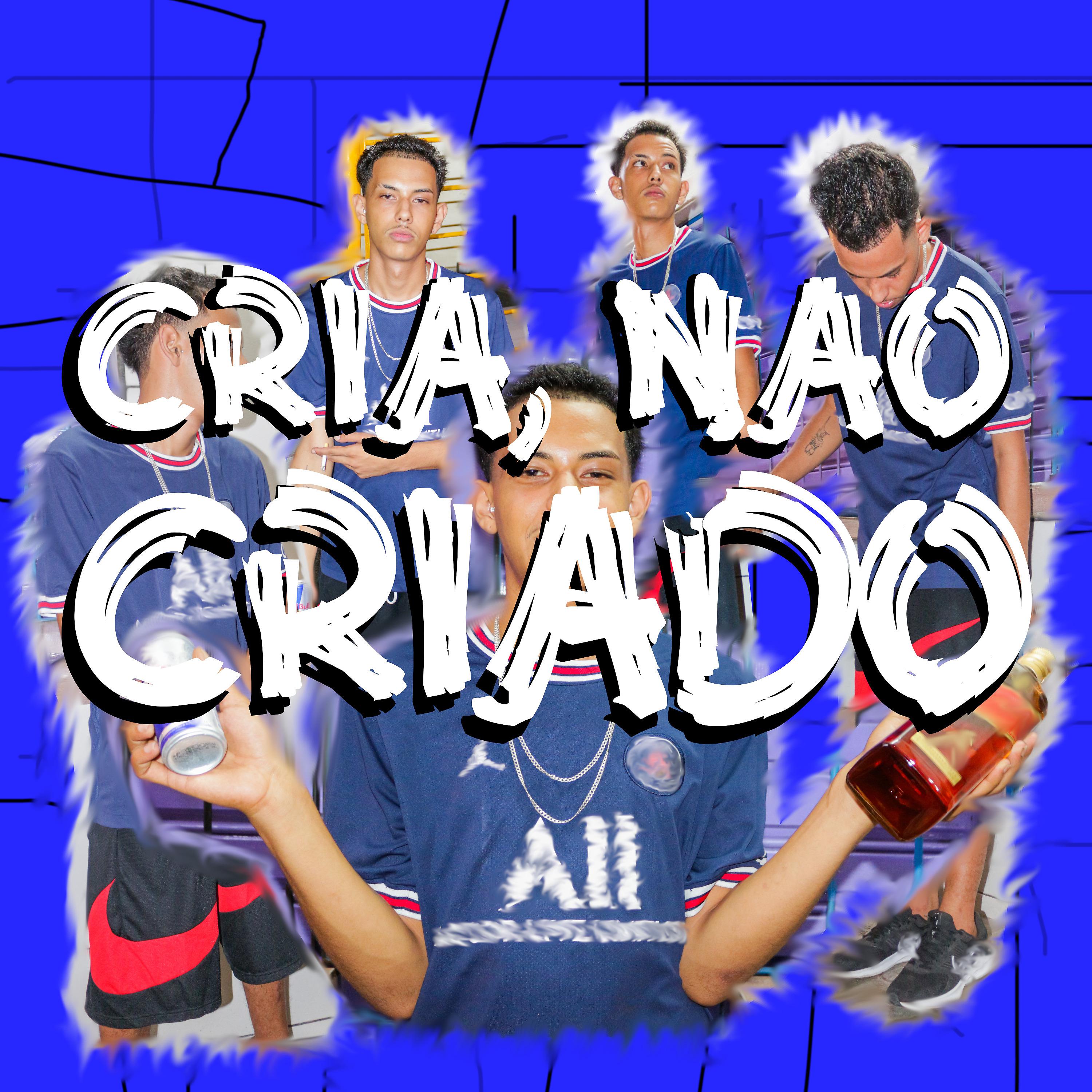 Постер альбома Cria Não Criado