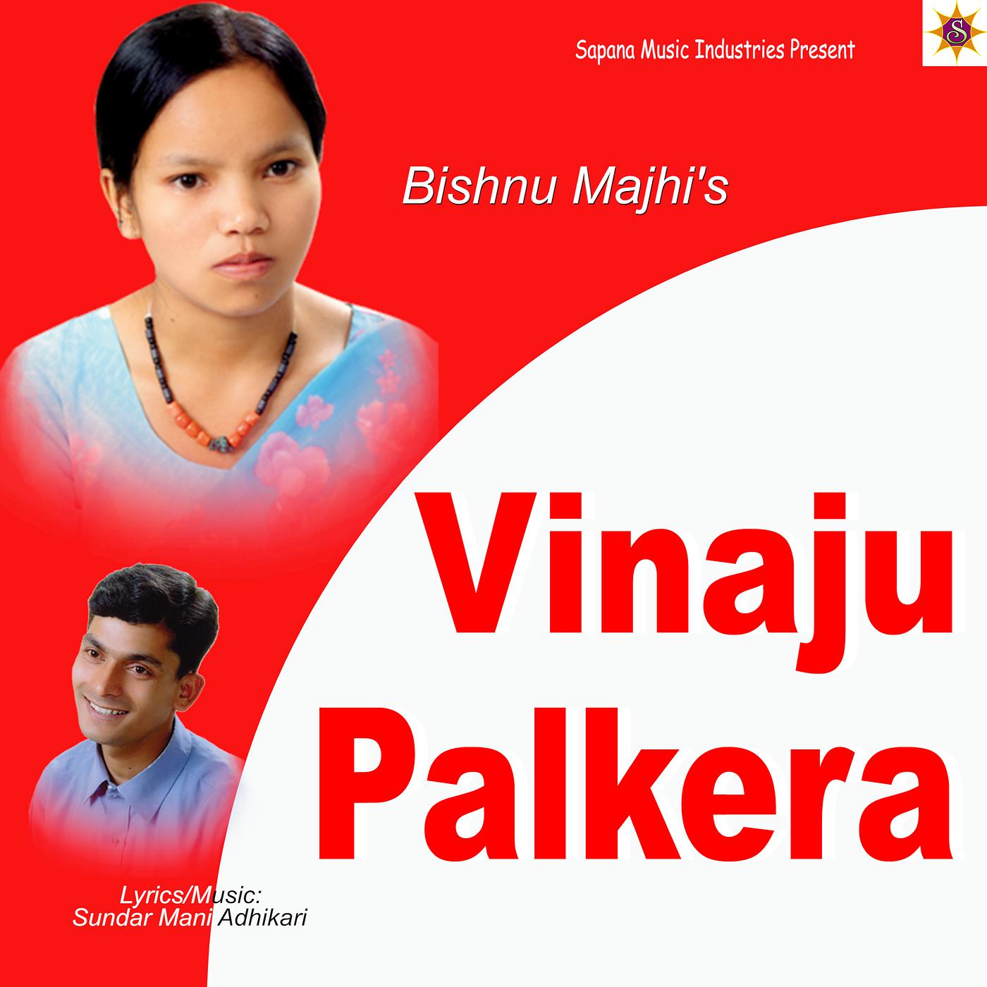 Постер альбома Vinaju Palkera
