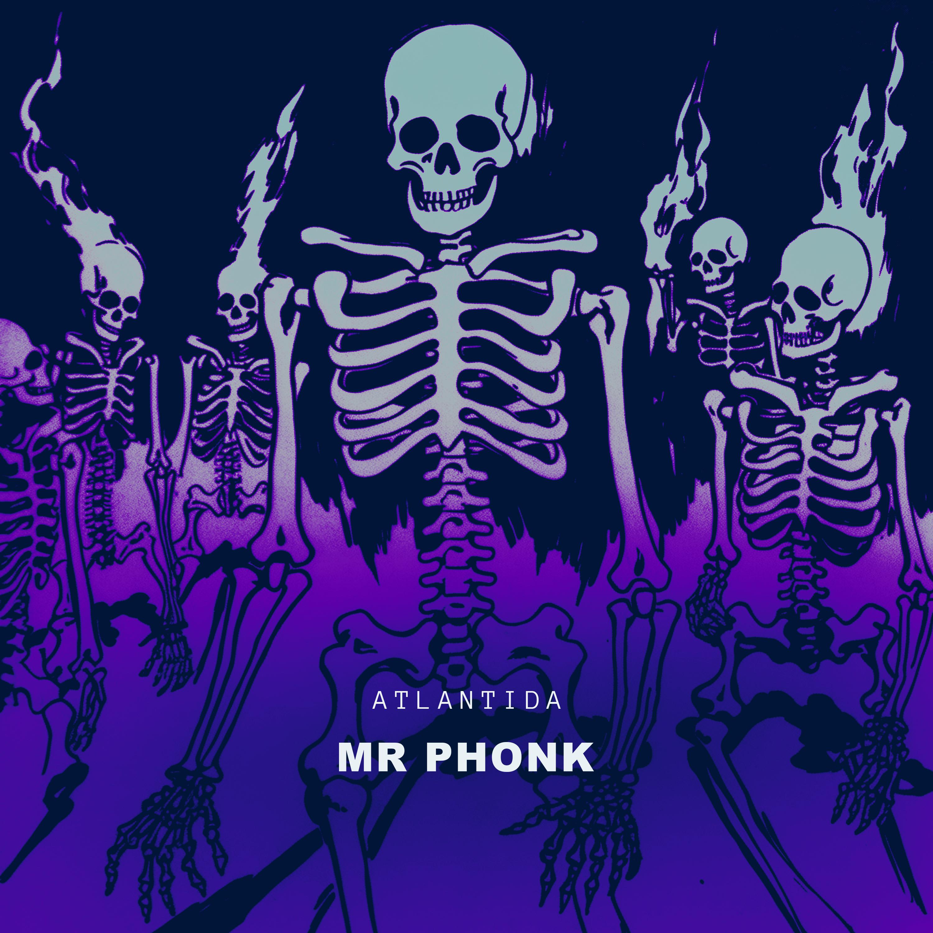 Постер альбома Mr Phonk
