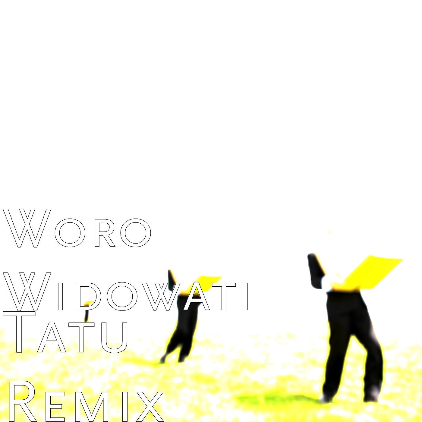 Постер альбома Tatu Remix