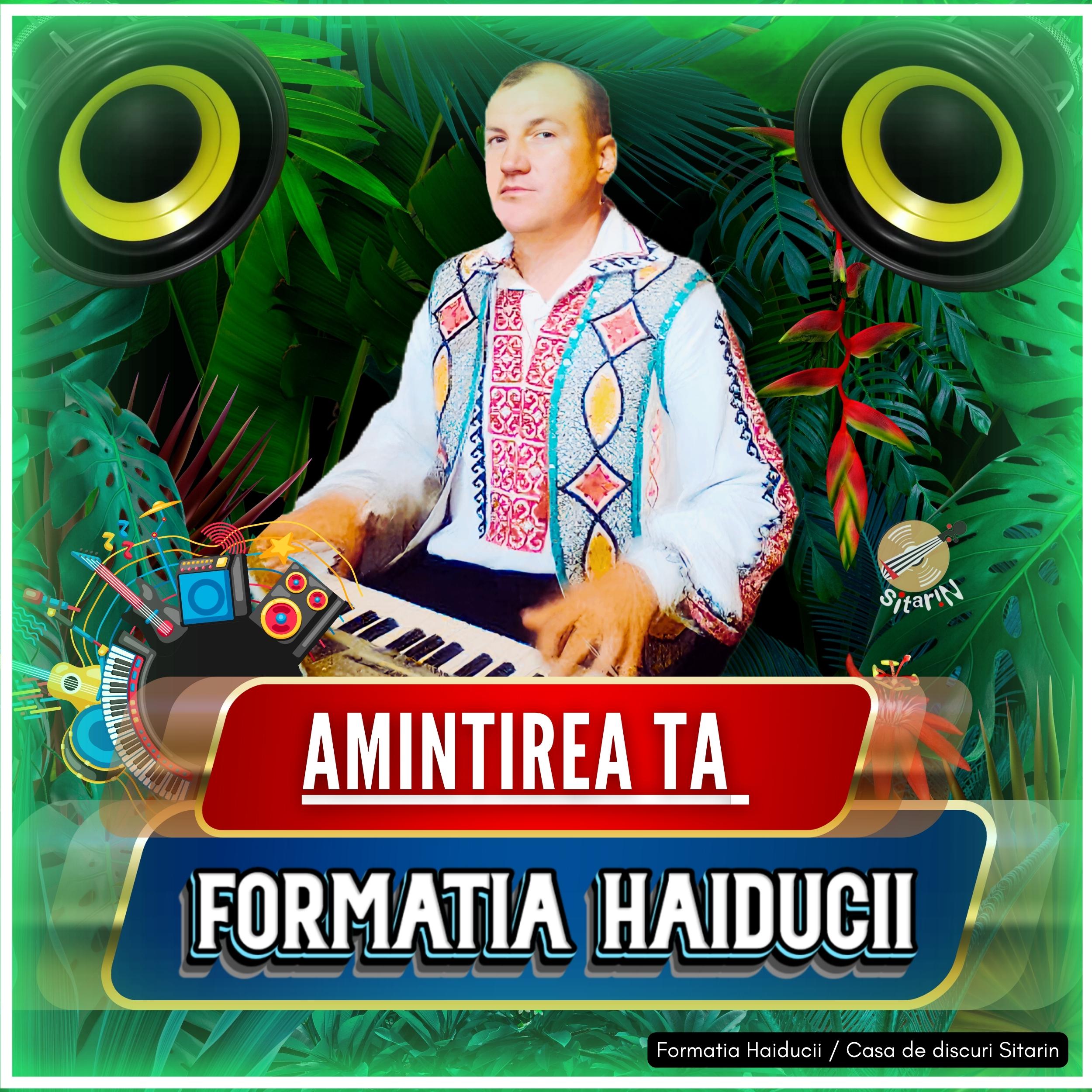 Постер альбома Amintirea ta