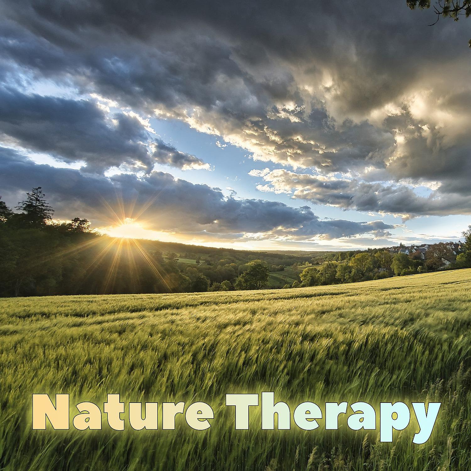 Постер альбома Nature Therapy